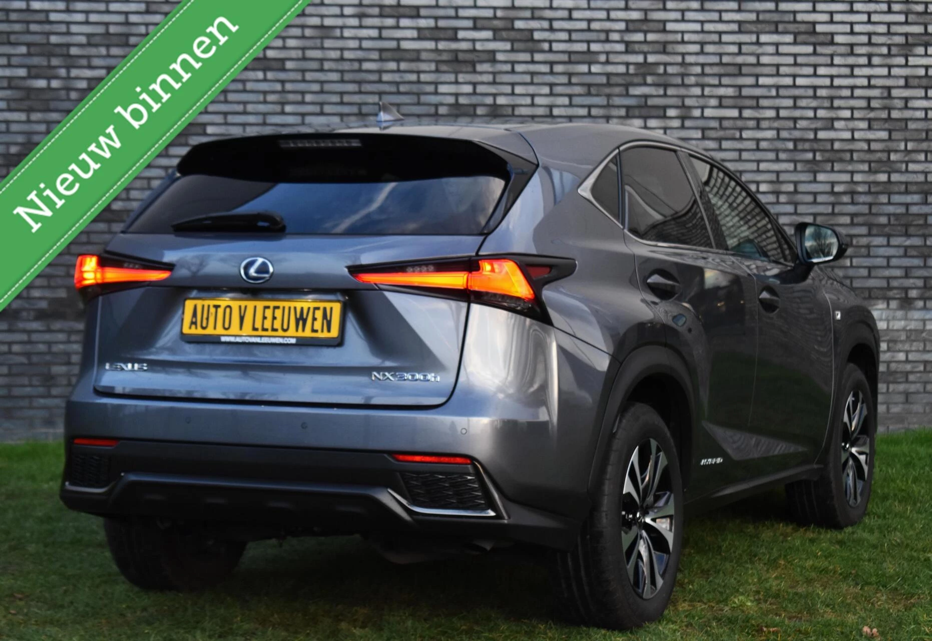 Hoofdafbeelding Lexus NX