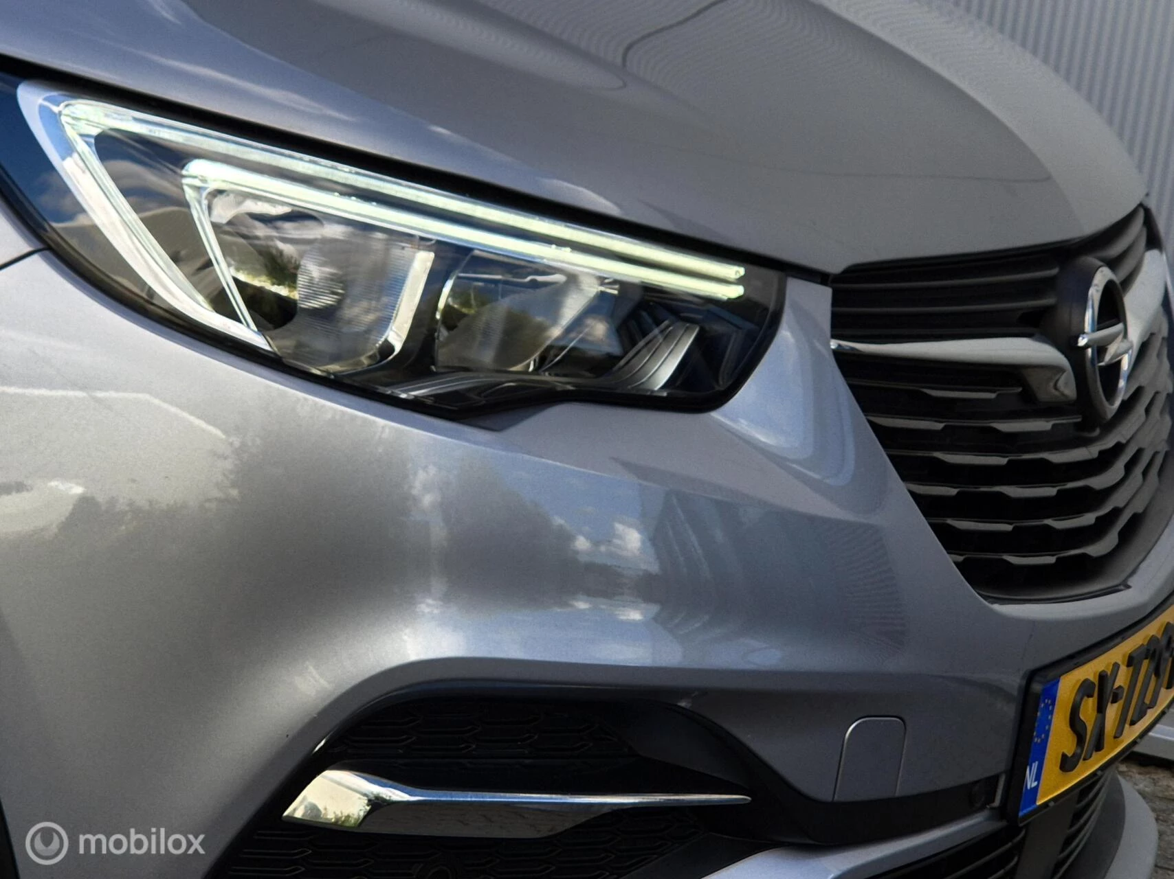 Hoofdafbeelding Opel Grandland X