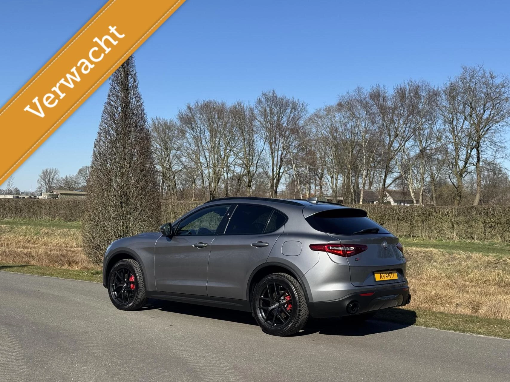 Hoofdafbeelding Alfa Romeo Stelvio
