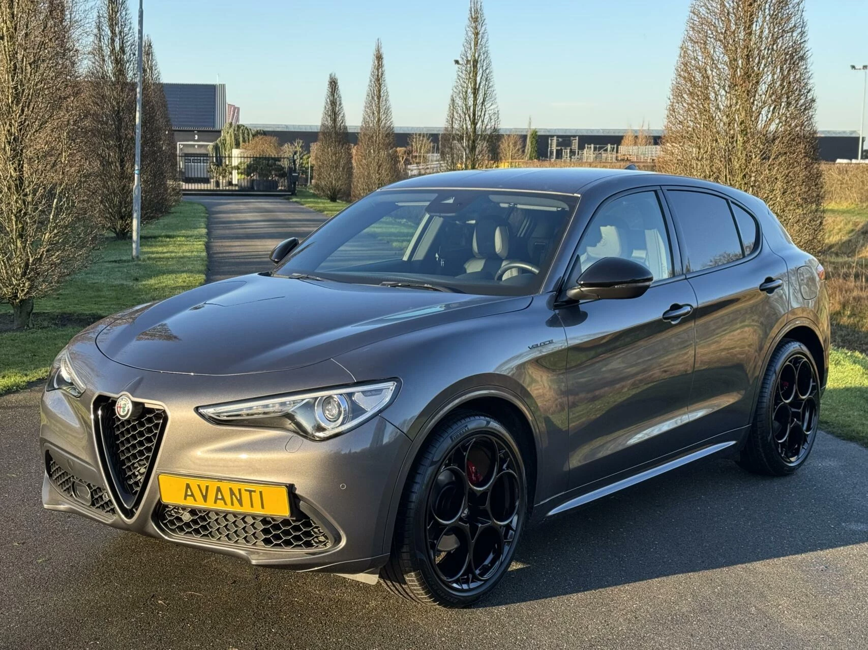 Hoofdafbeelding Alfa Romeo Stelvio