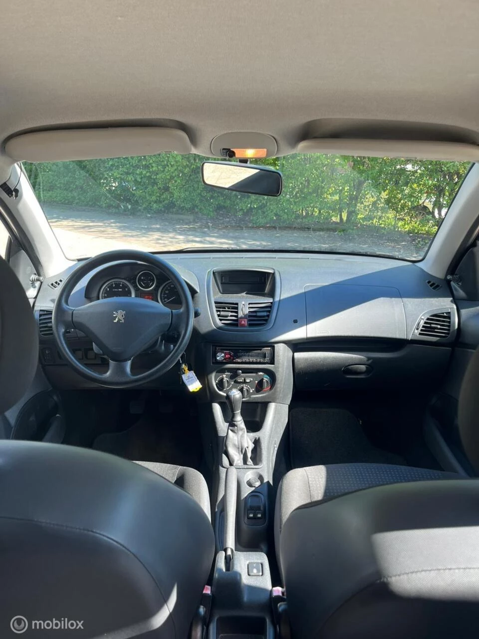 Hoofdafbeelding Peugeot 206