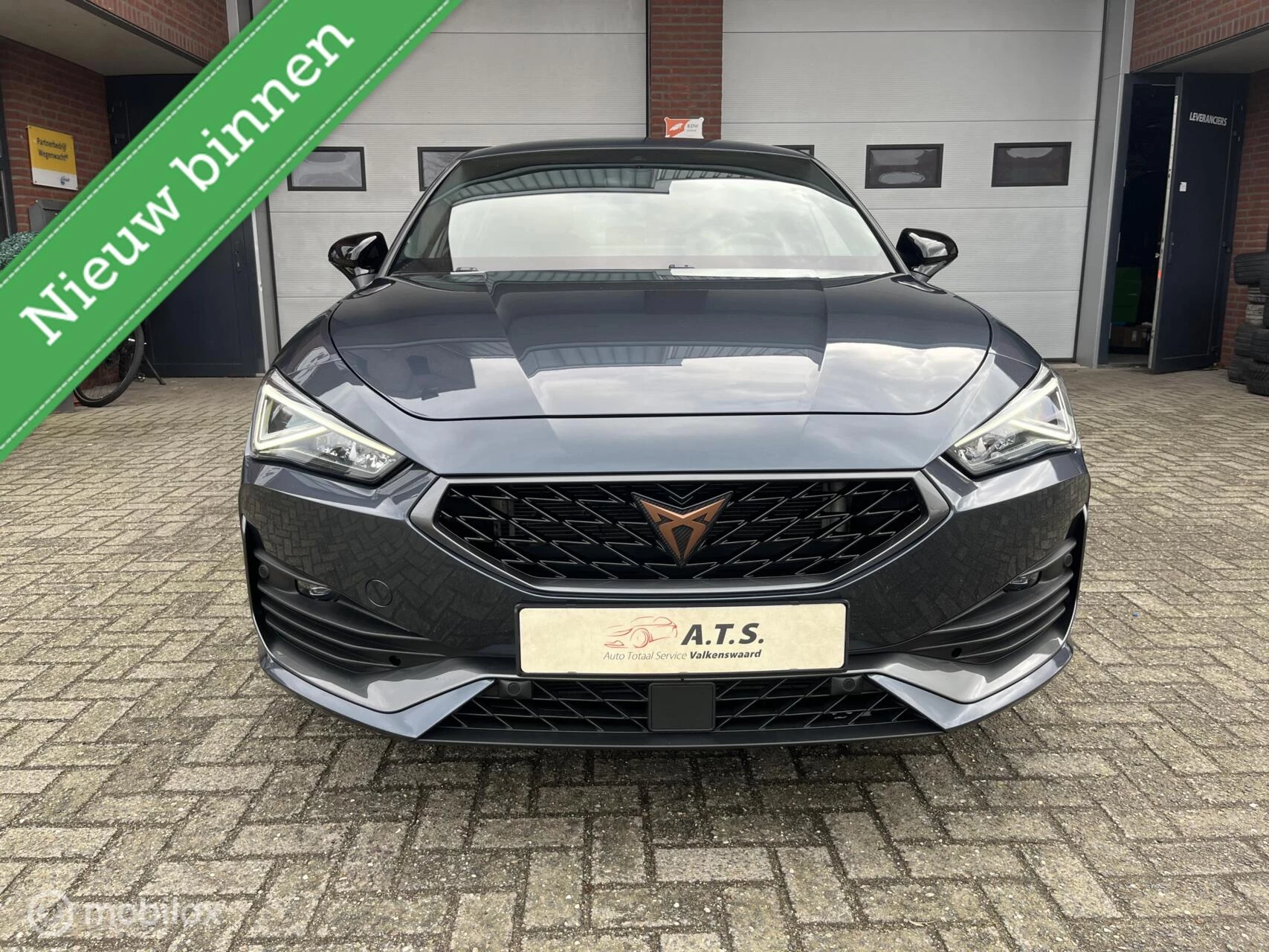 Hoofdafbeelding CUPRA Leon