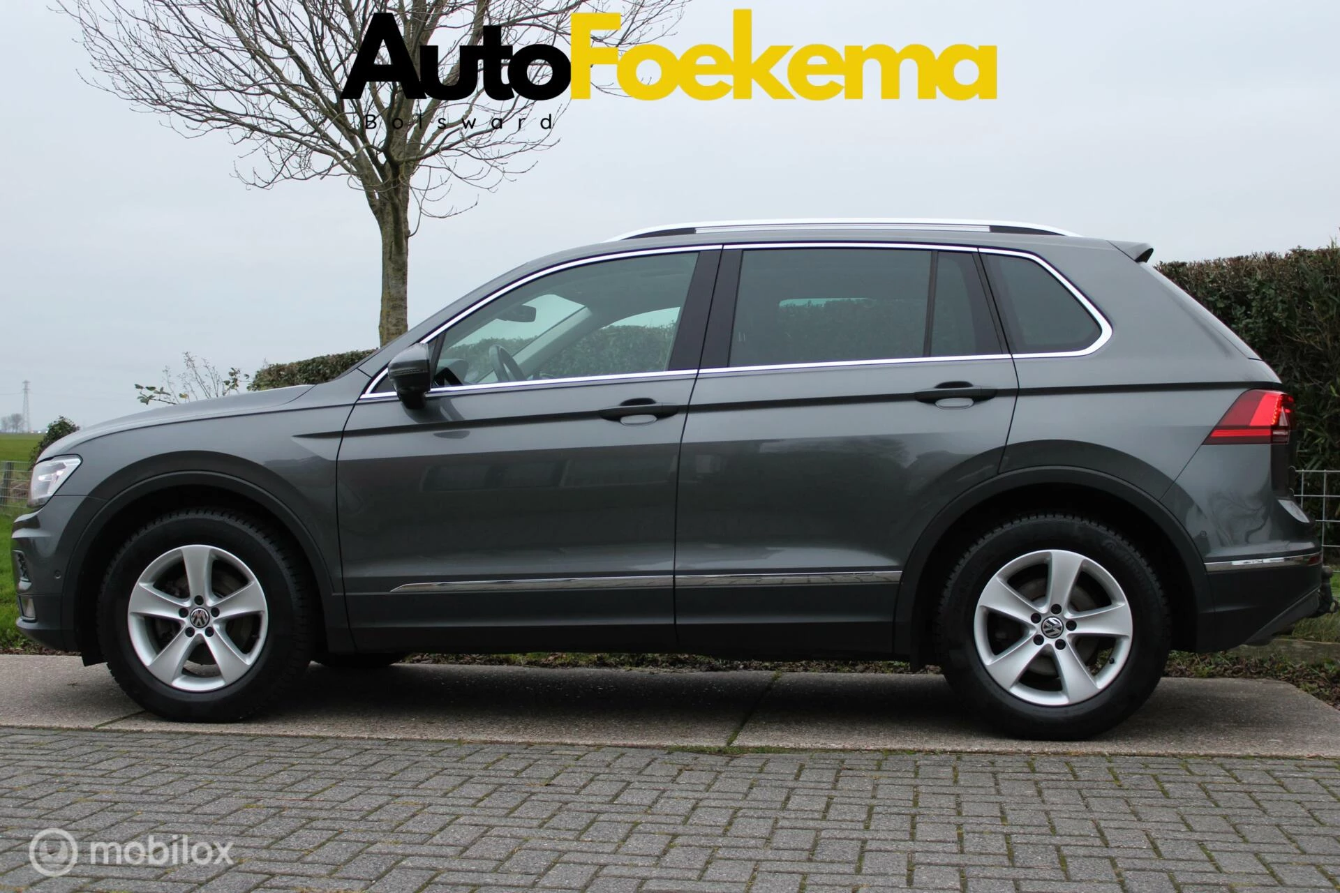 Hoofdafbeelding Volkswagen Tiguan