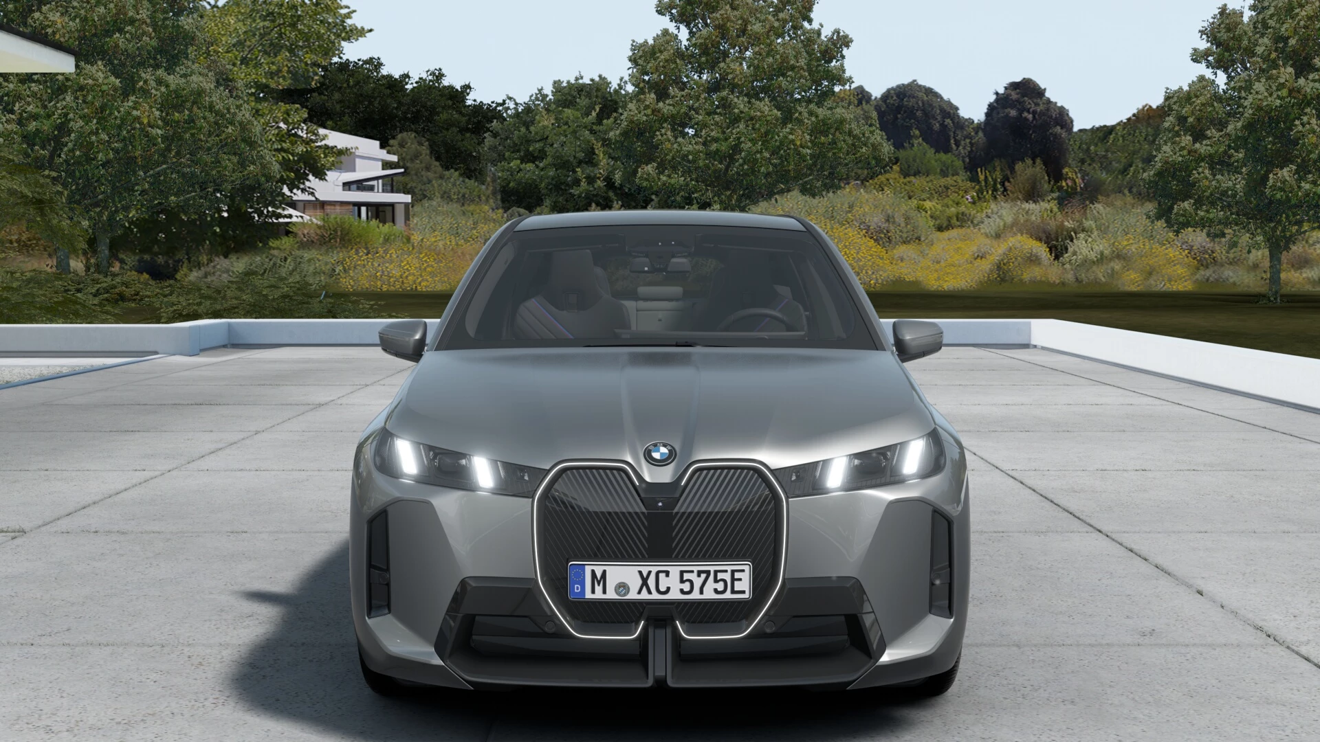 Hoofdafbeelding BMW iX