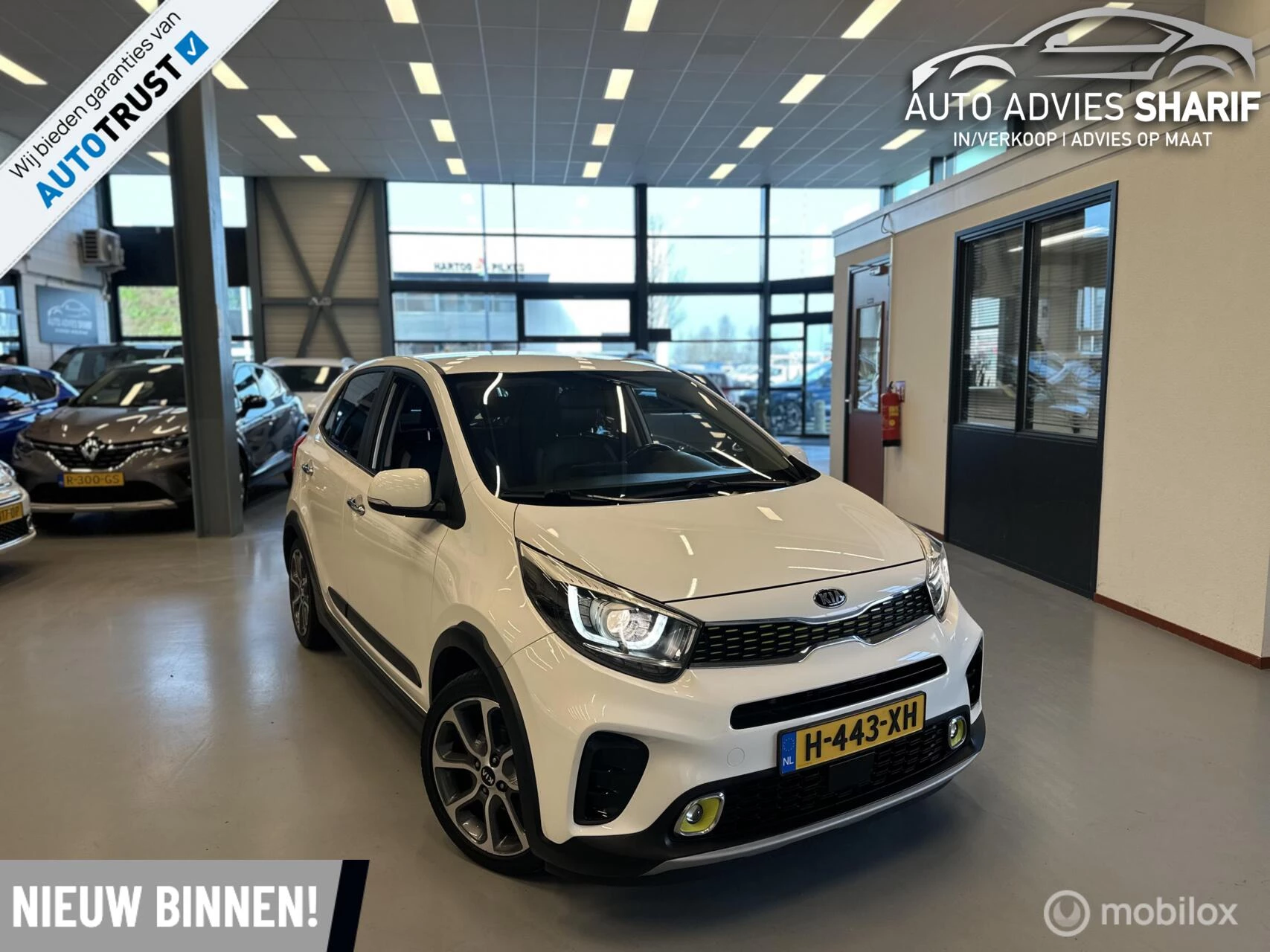 Hoofdafbeelding Kia Picanto