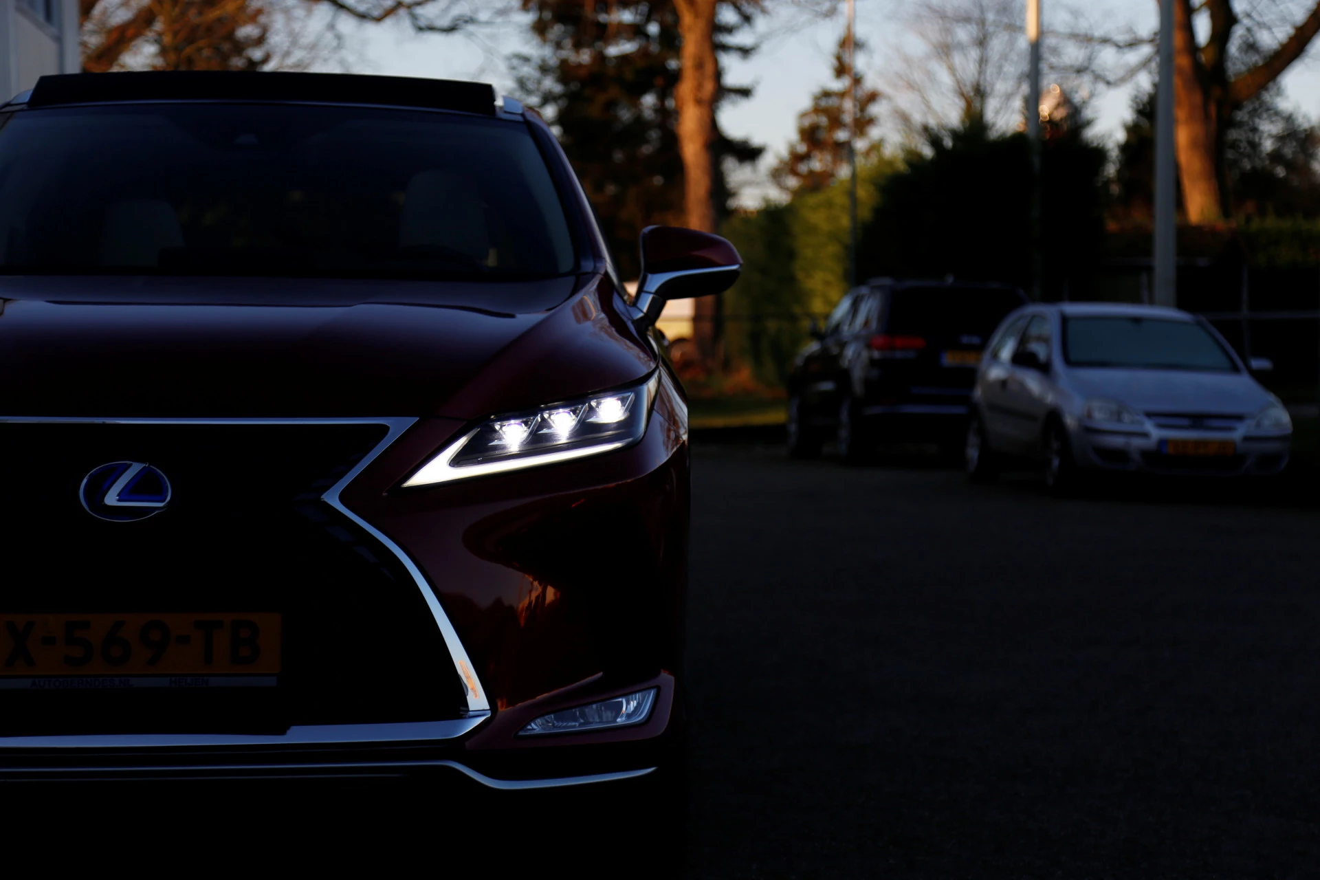 Hoofdafbeelding Lexus RX