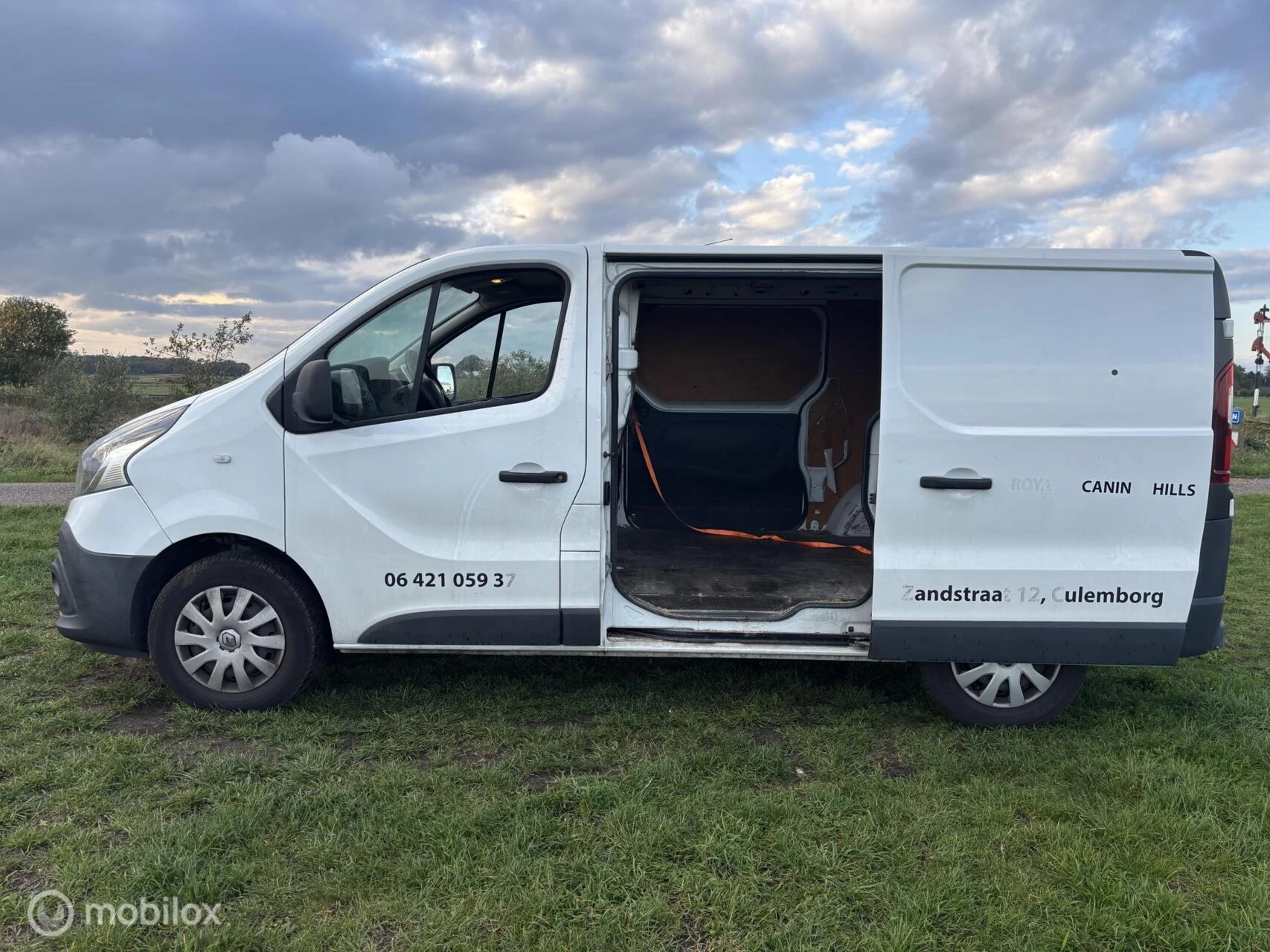 Hoofdafbeelding Renault Trafic