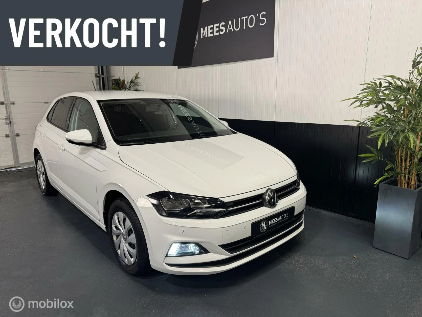 Hoofdafbeelding Volkswagen Polo