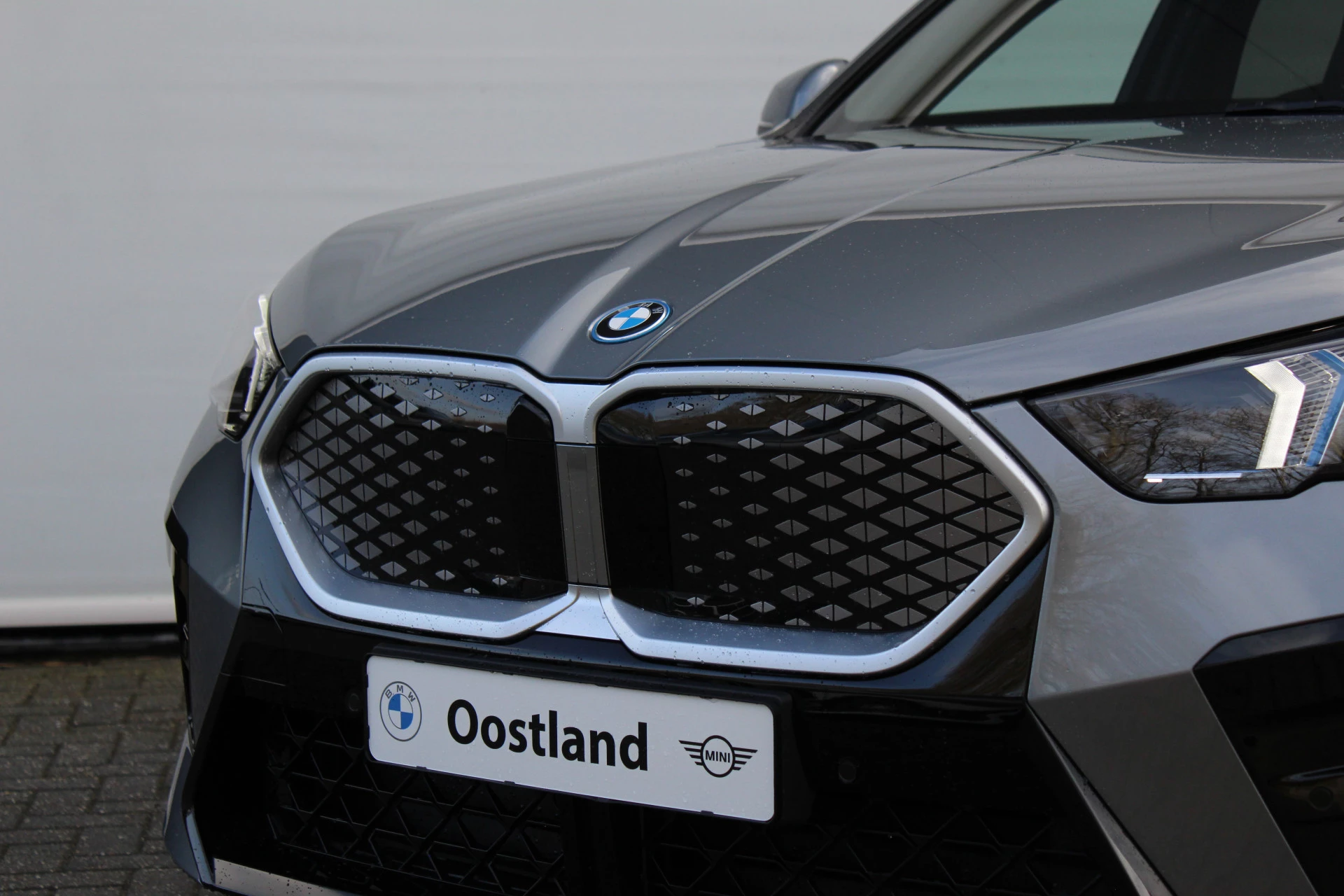 Hoofdafbeelding BMW iX2