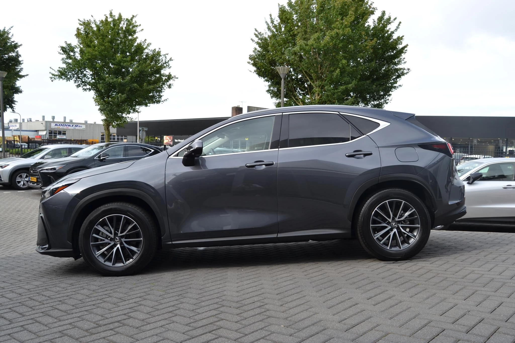 Hoofdafbeelding Lexus NX