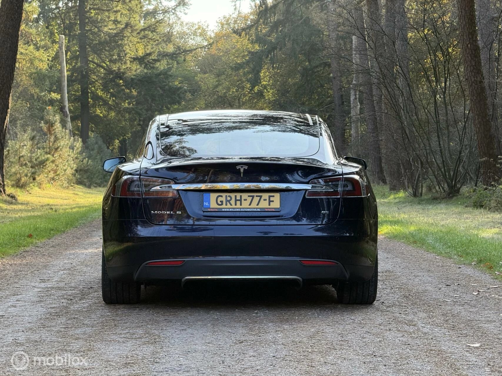 Hoofdafbeelding Tesla Model S