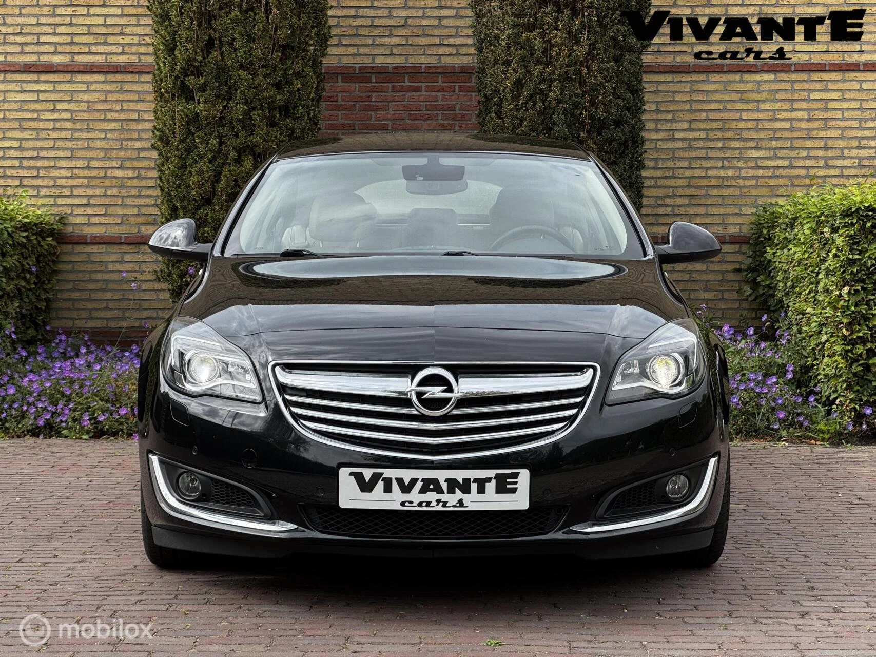 Hoofdafbeelding Opel Insignia