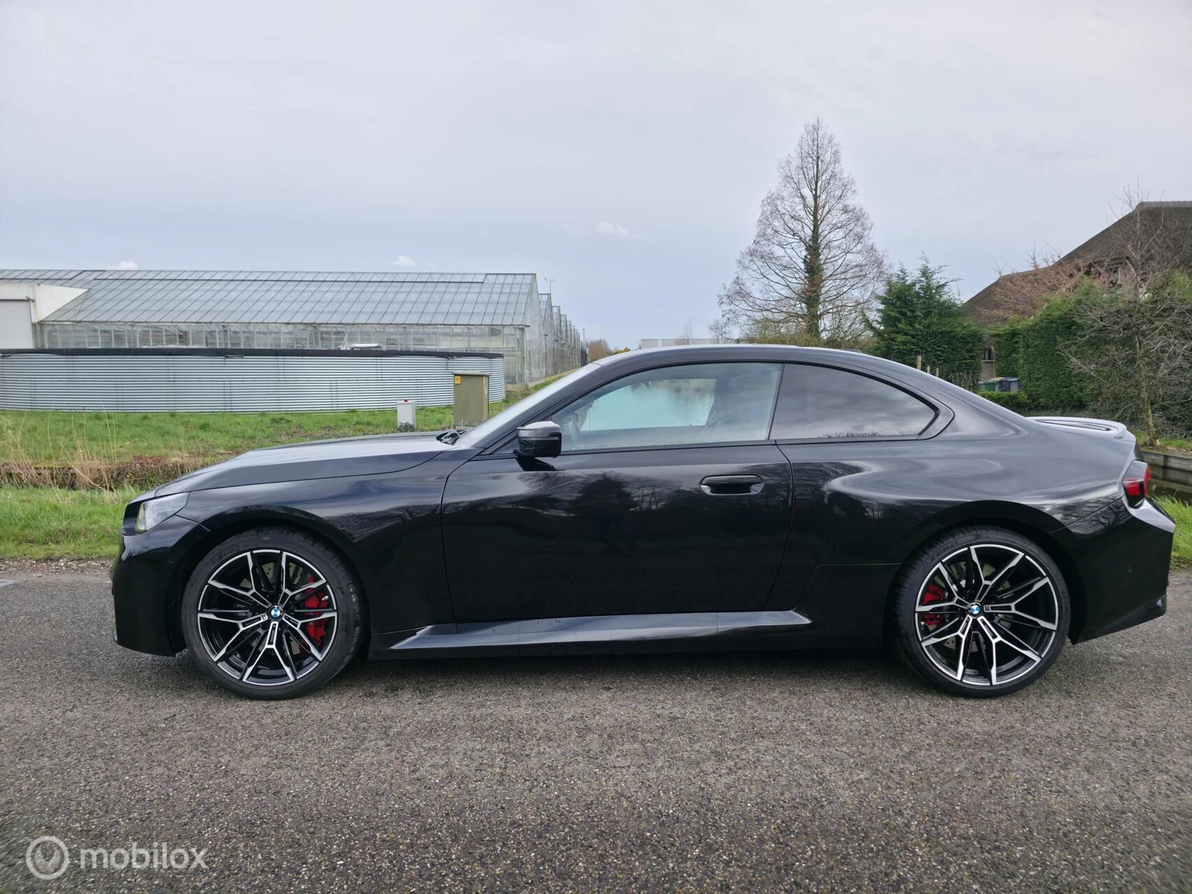 Hoofdafbeelding BMW M2