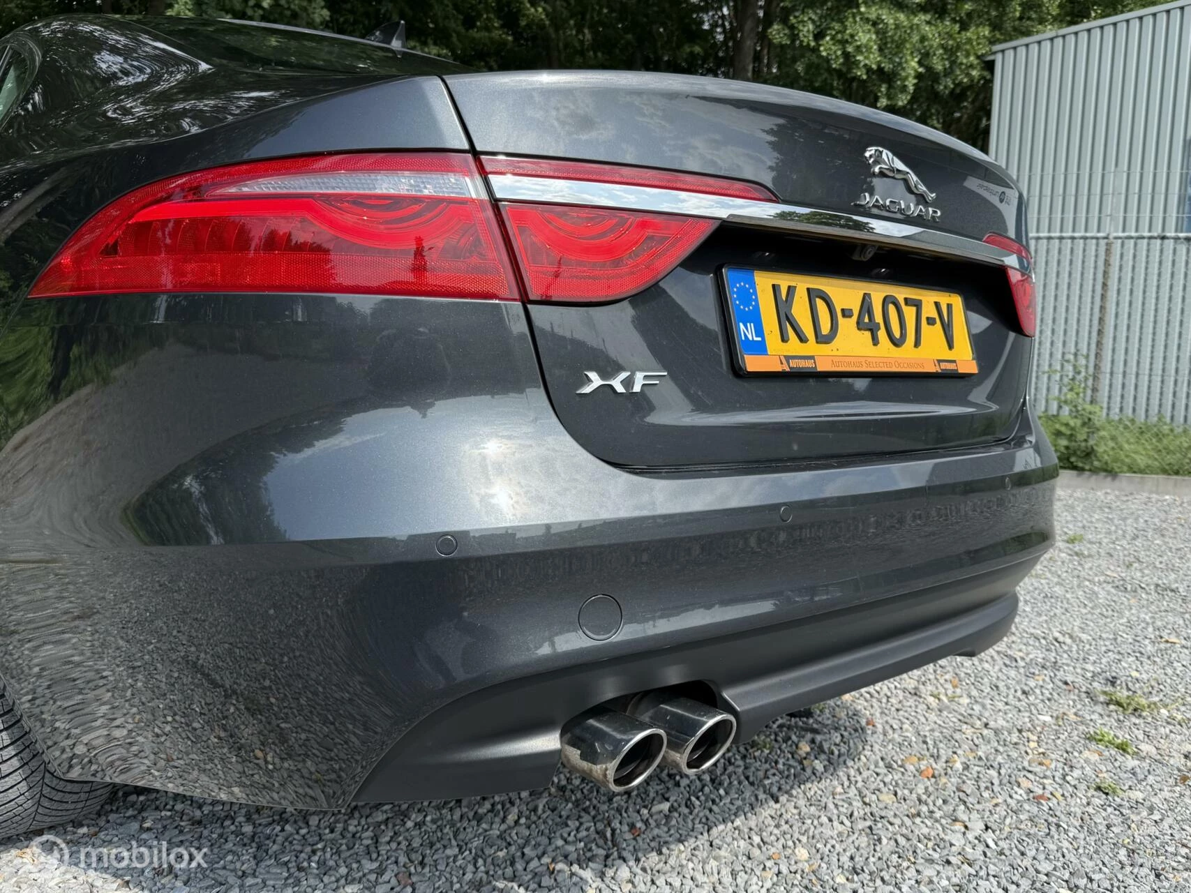 Hoofdafbeelding Jaguar XF