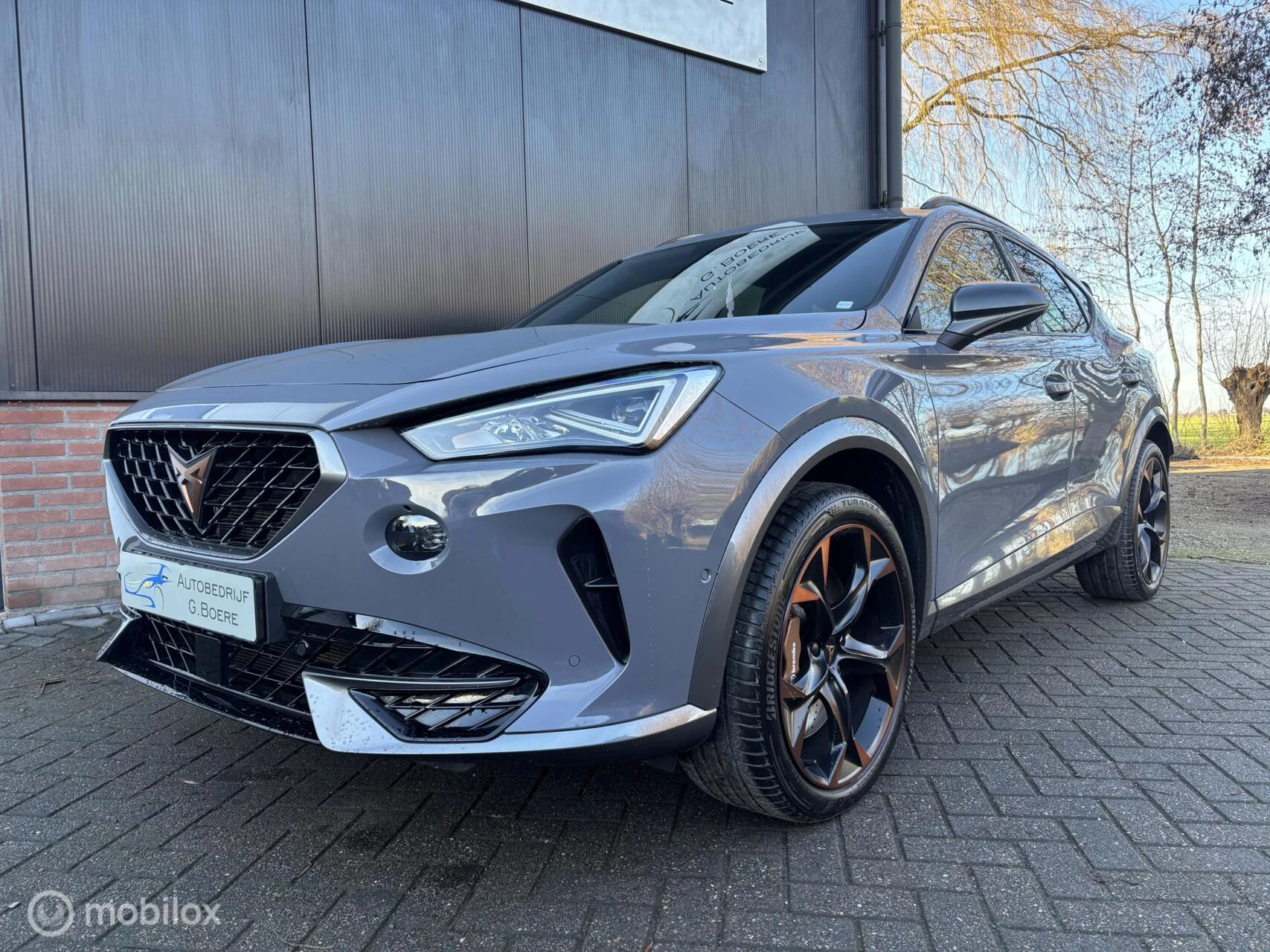 Hoofdafbeelding CUPRA Formentor