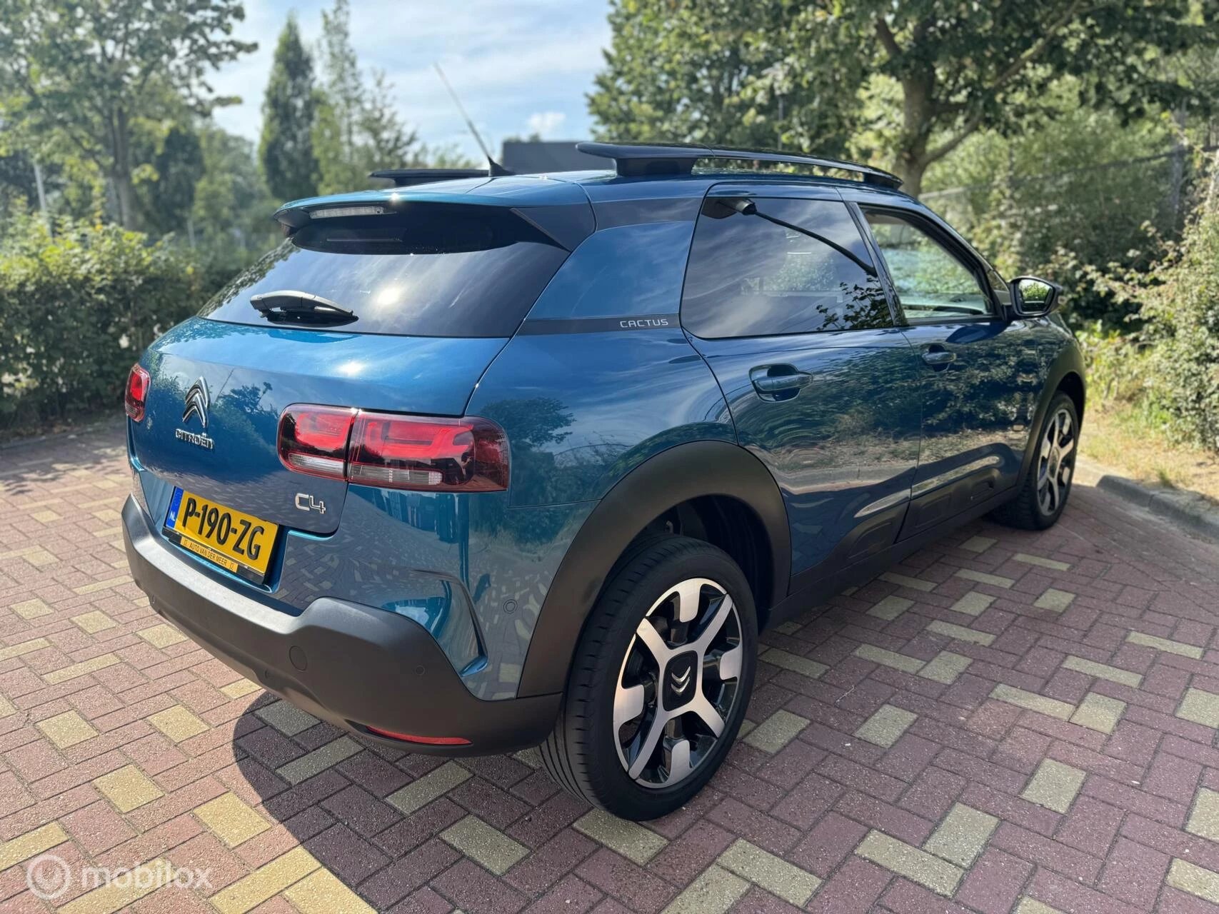 Hoofdafbeelding Citroën C4 Cactus