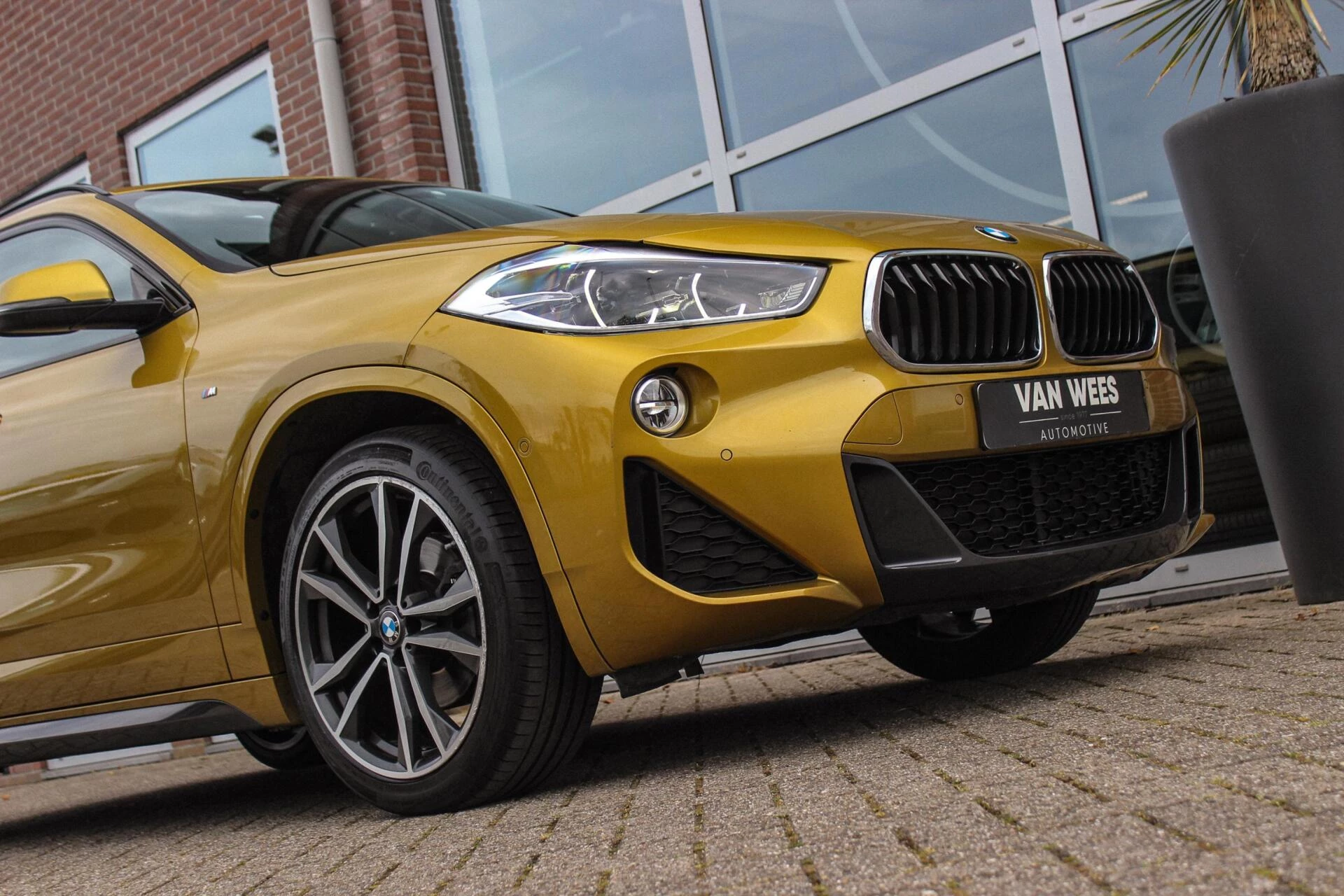 Hoofdafbeelding BMW X2