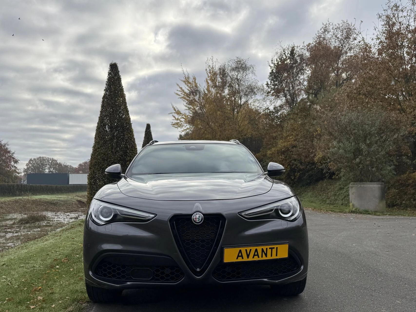 Hoofdafbeelding Alfa Romeo Stelvio