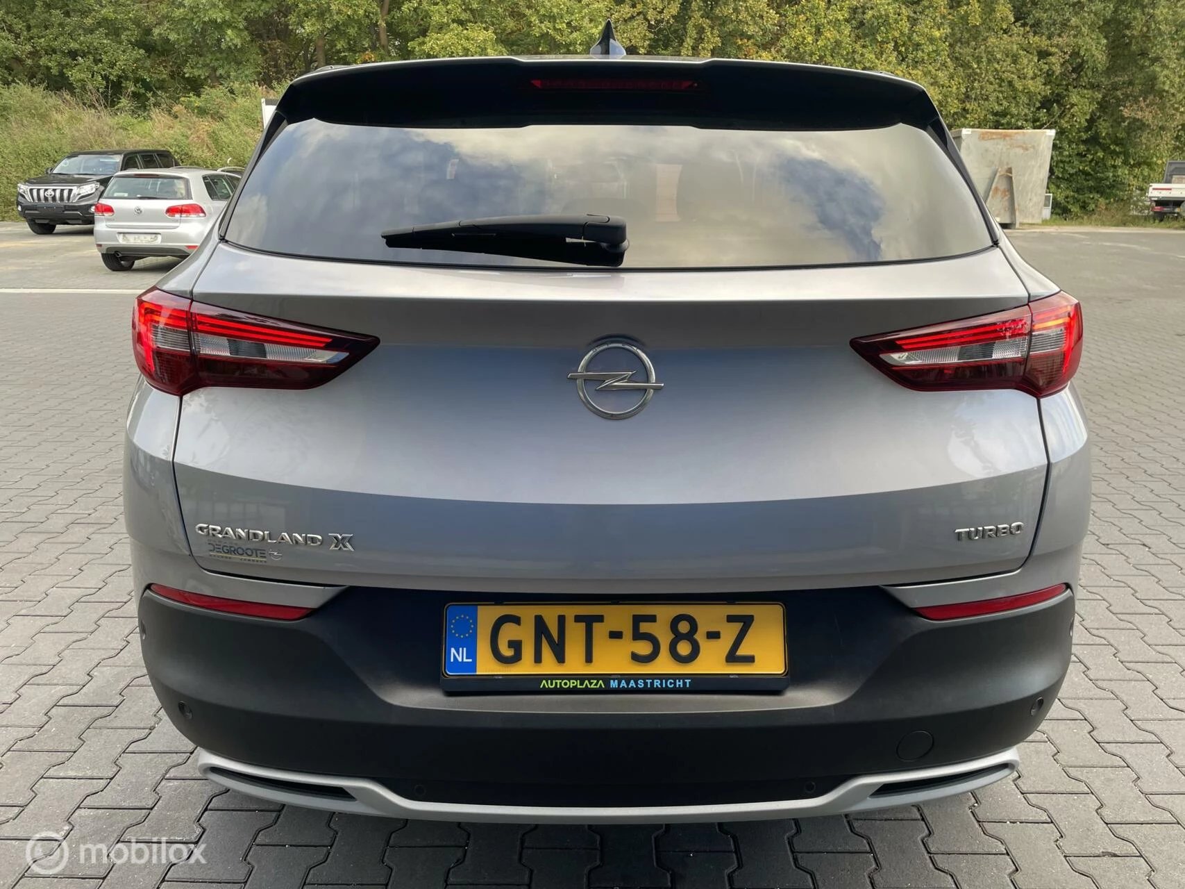 Hoofdafbeelding Opel Grandland X