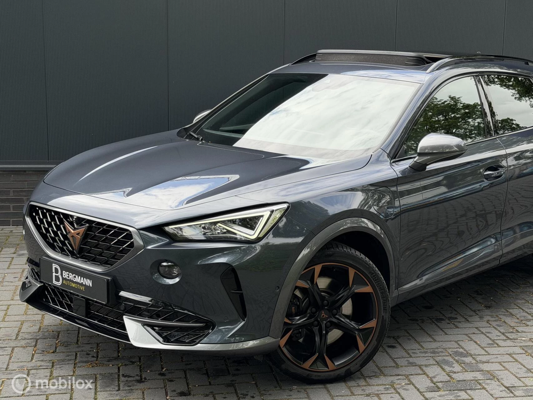 Hoofdafbeelding CUPRA Formentor