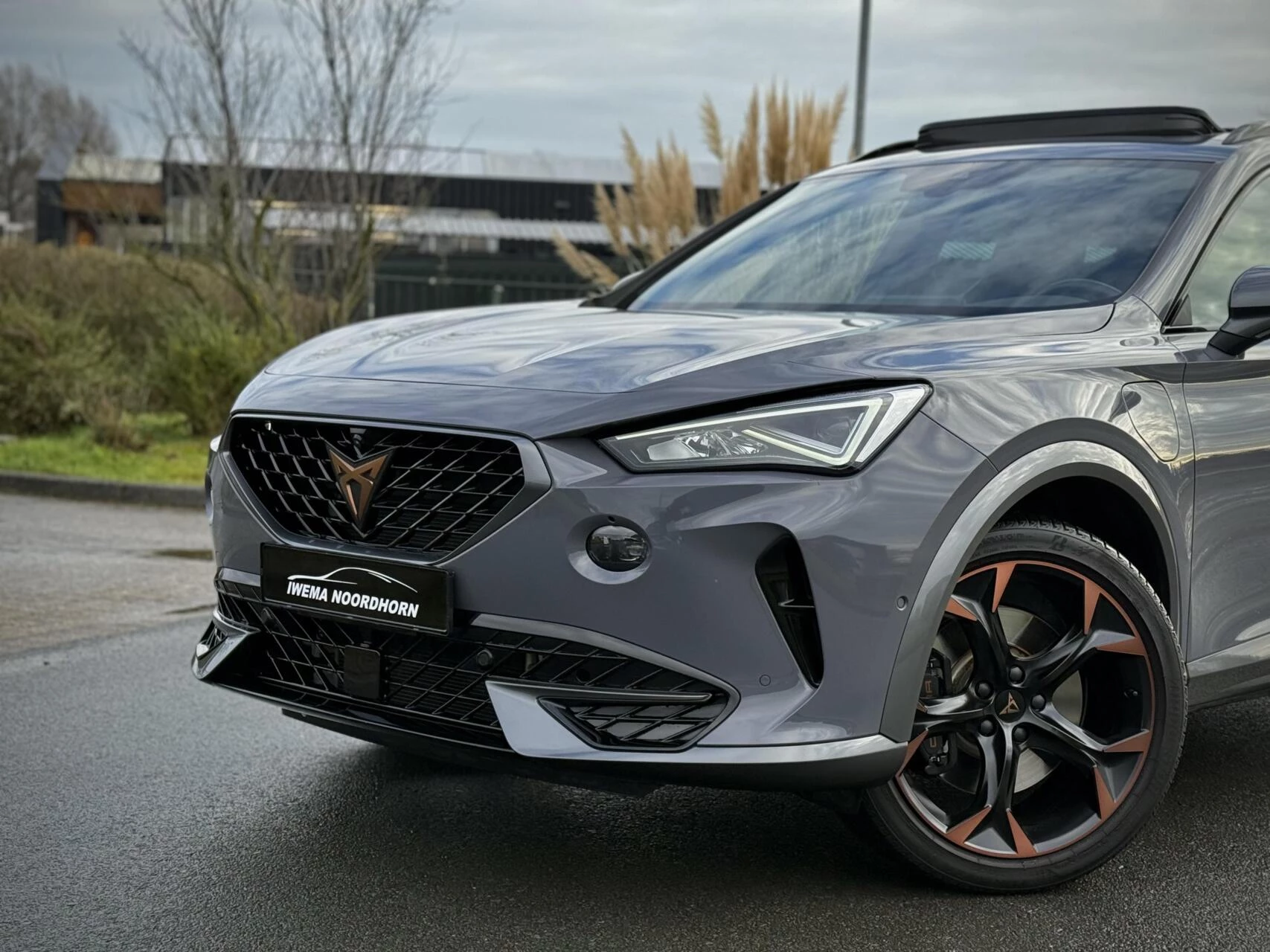 Hoofdafbeelding CUPRA Formentor