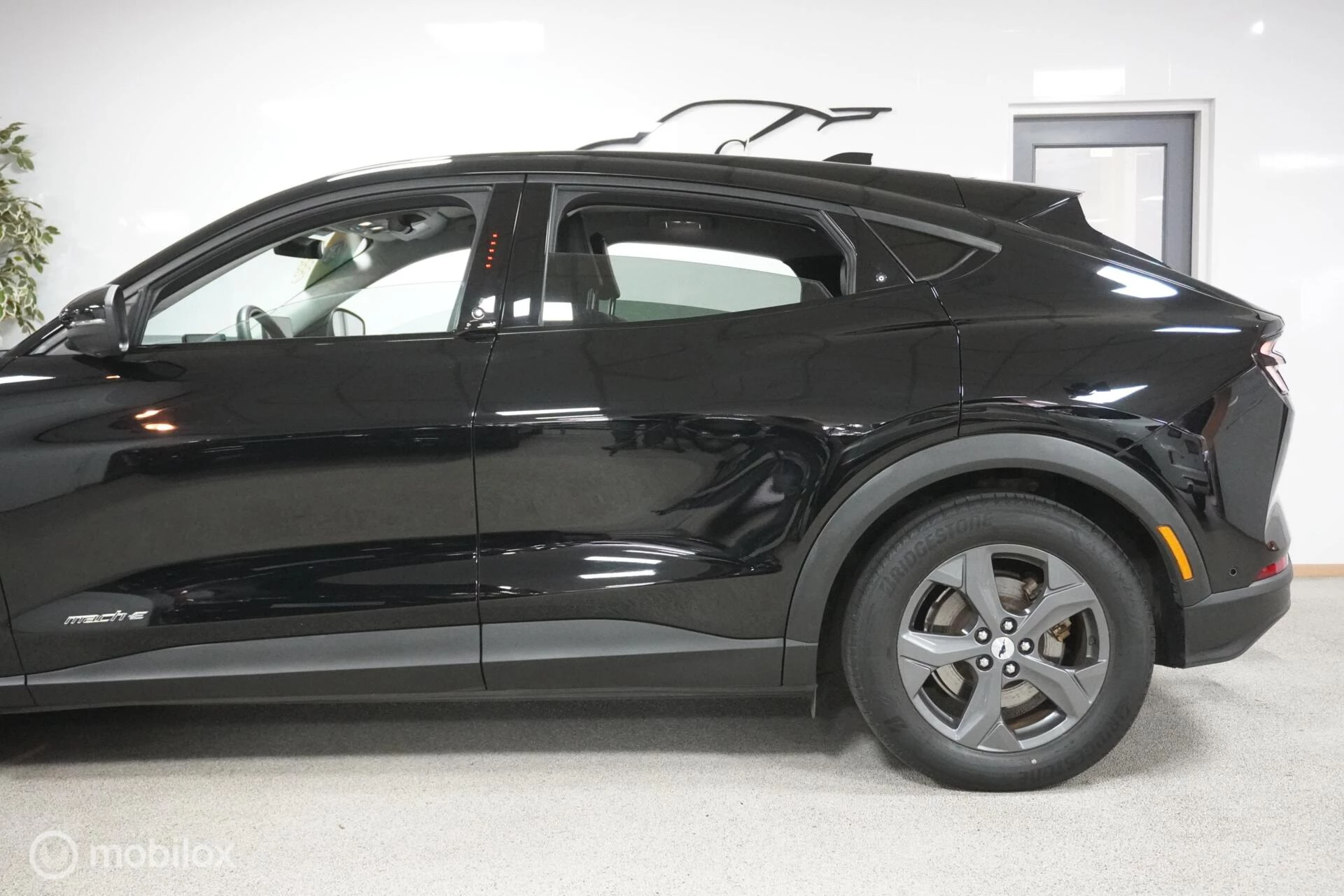 Hoofdafbeelding Ford Mustang Mach-E