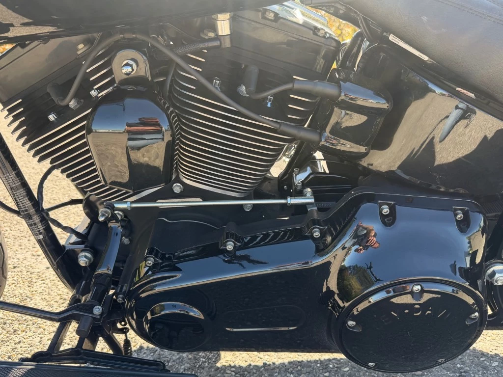 Hoofdafbeelding Harley-Davidson Softail