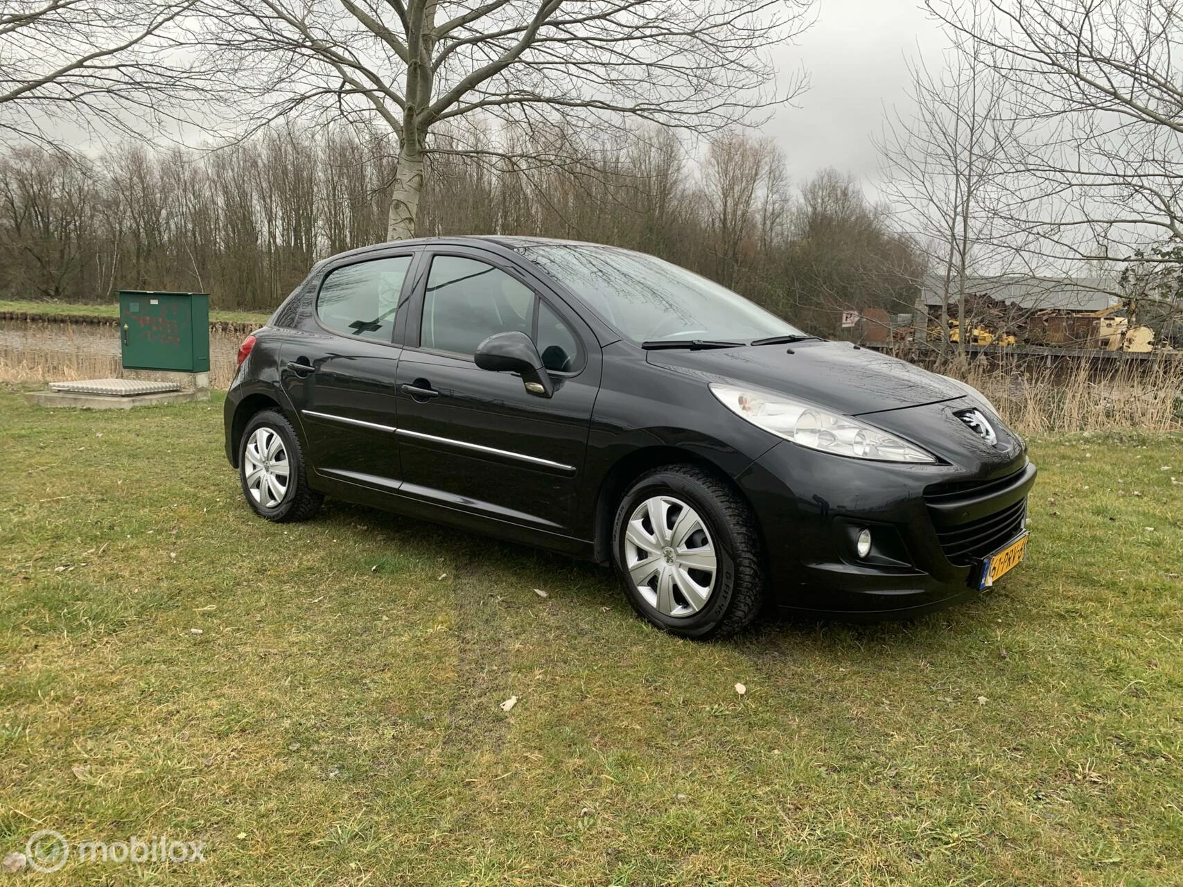Hoofdafbeelding Peugeot 207
