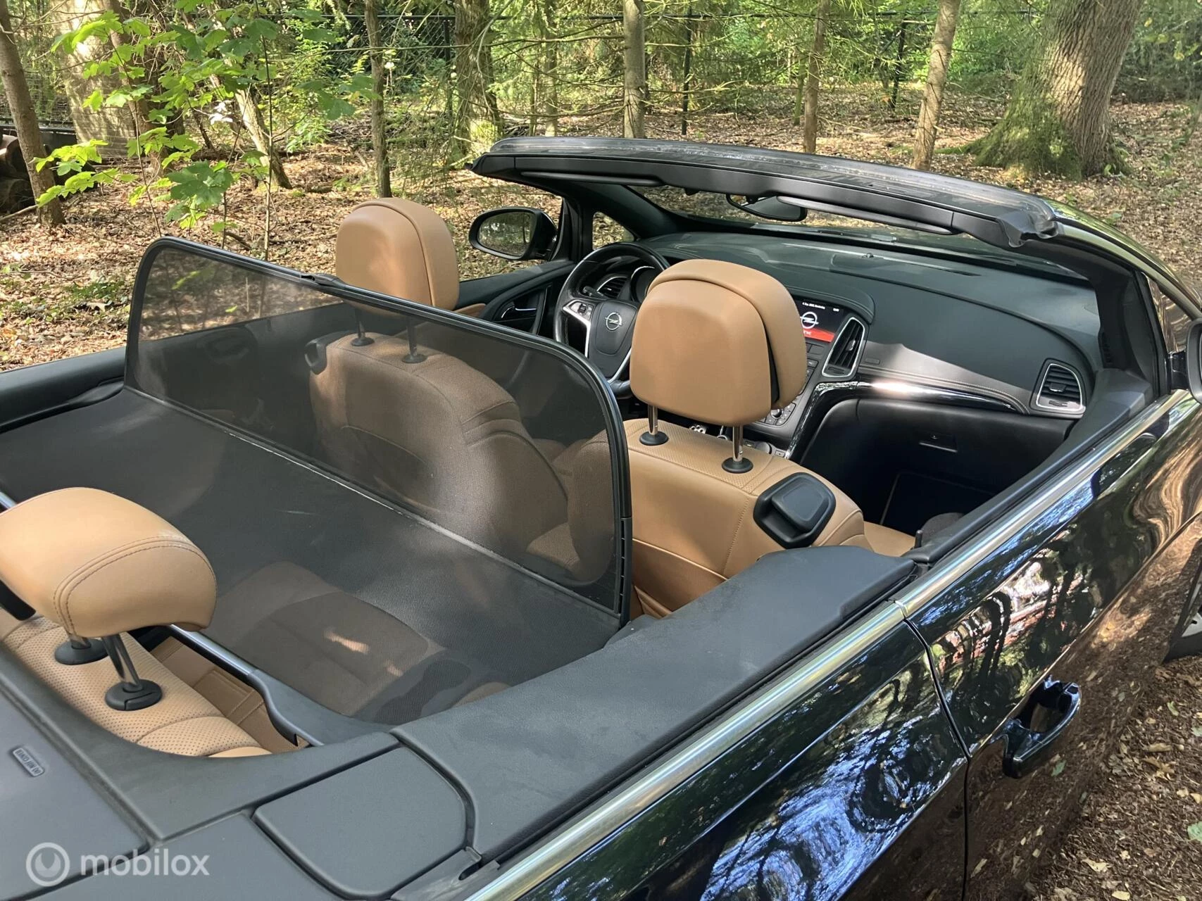 Hoofdafbeelding Opel Cascada