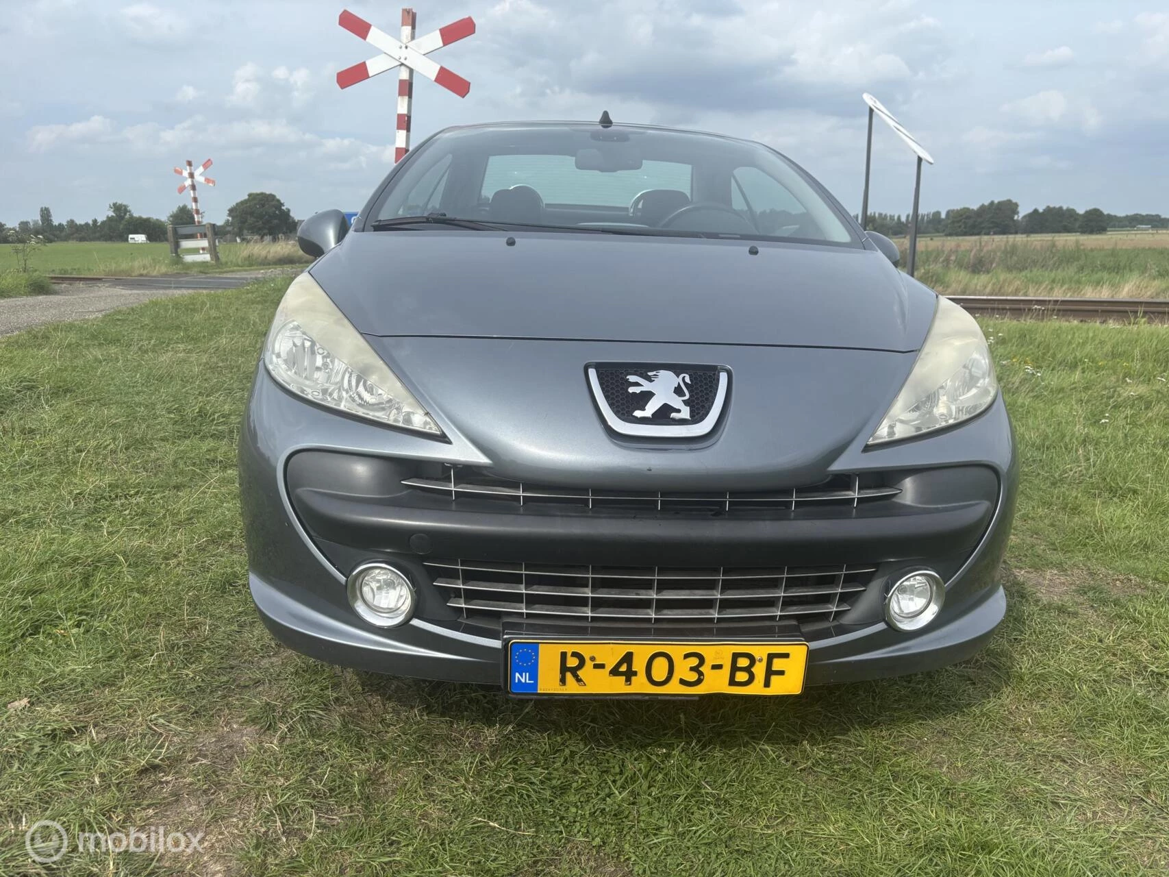 Hoofdafbeelding Peugeot 207
