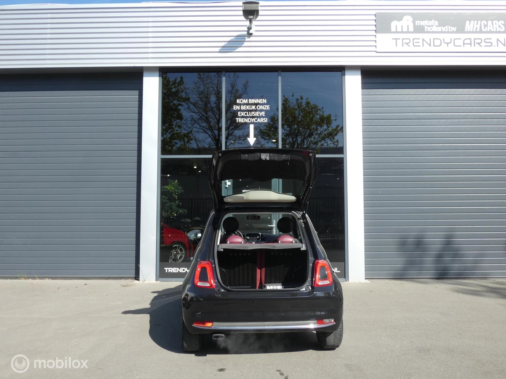 Hoofdafbeelding Fiat 500
