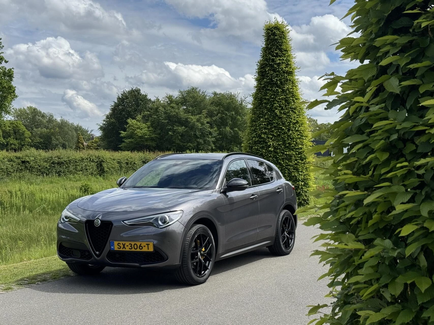 Hoofdafbeelding Alfa Romeo Stelvio
