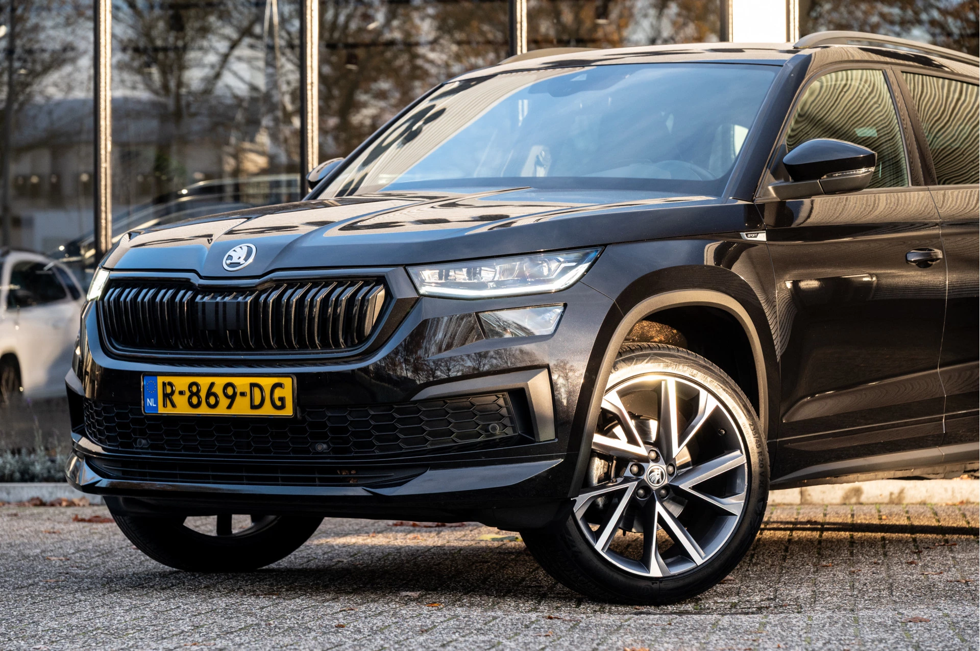 Hoofdafbeelding Škoda Kodiaq