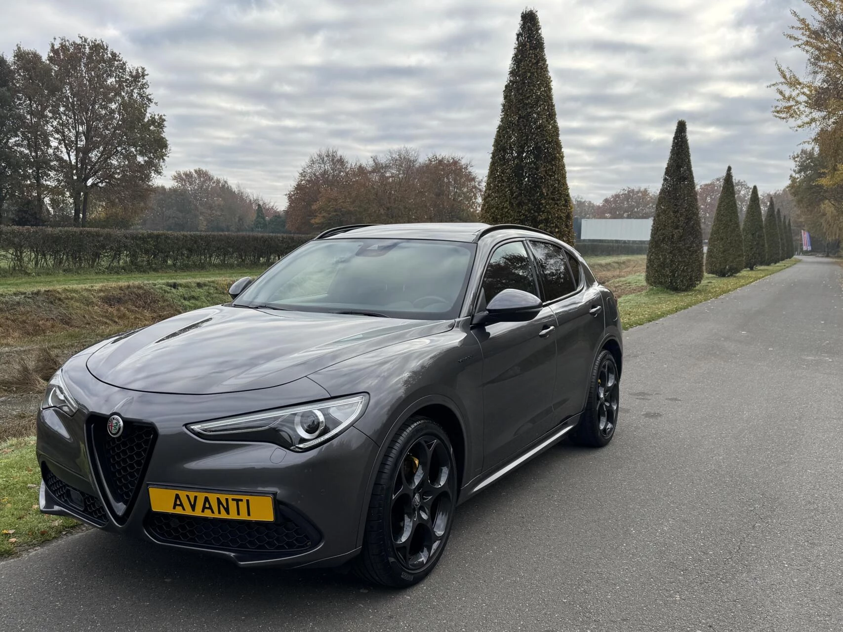 Hoofdafbeelding Alfa Romeo Stelvio