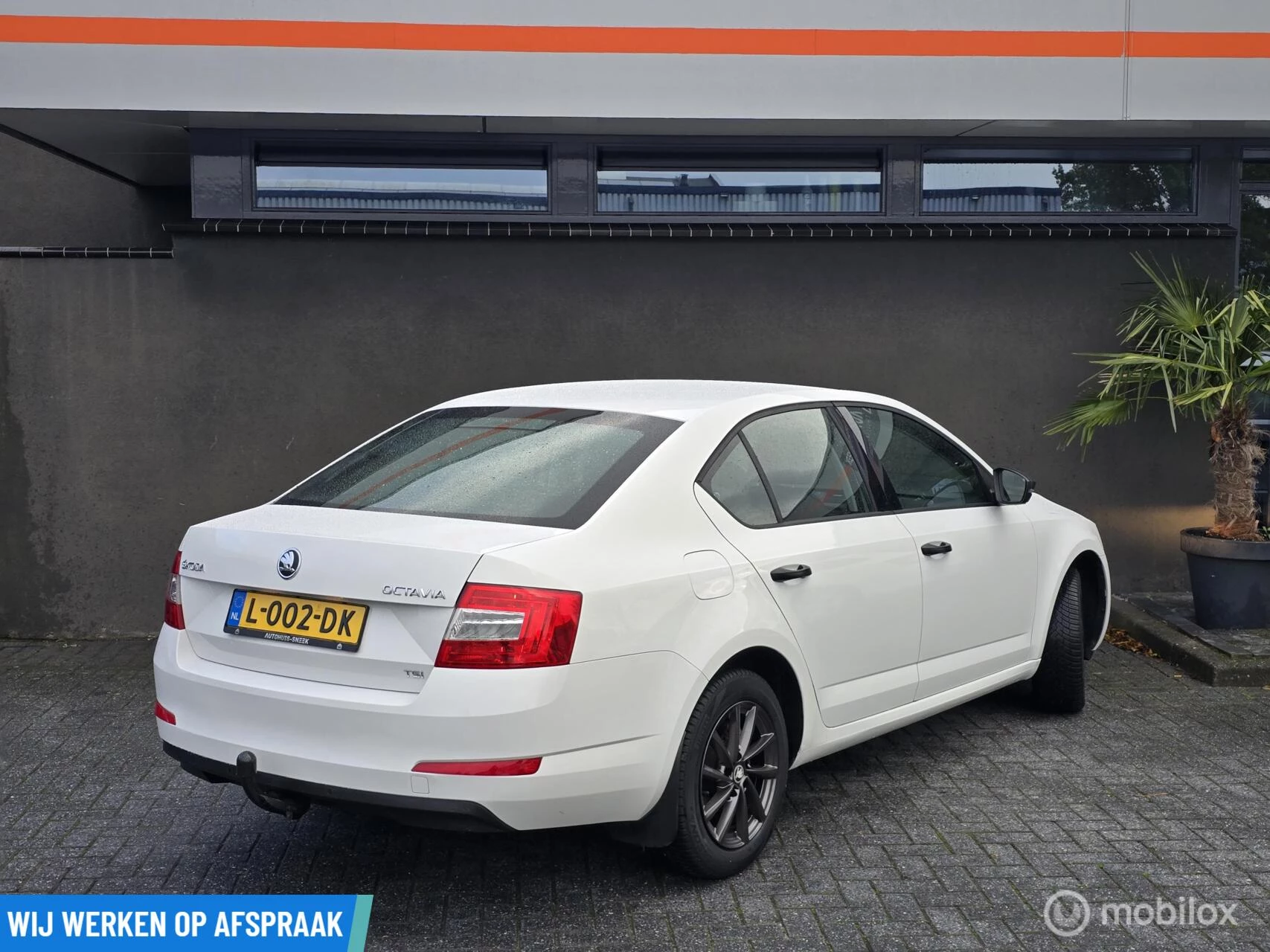 Hoofdafbeelding Škoda Octavia