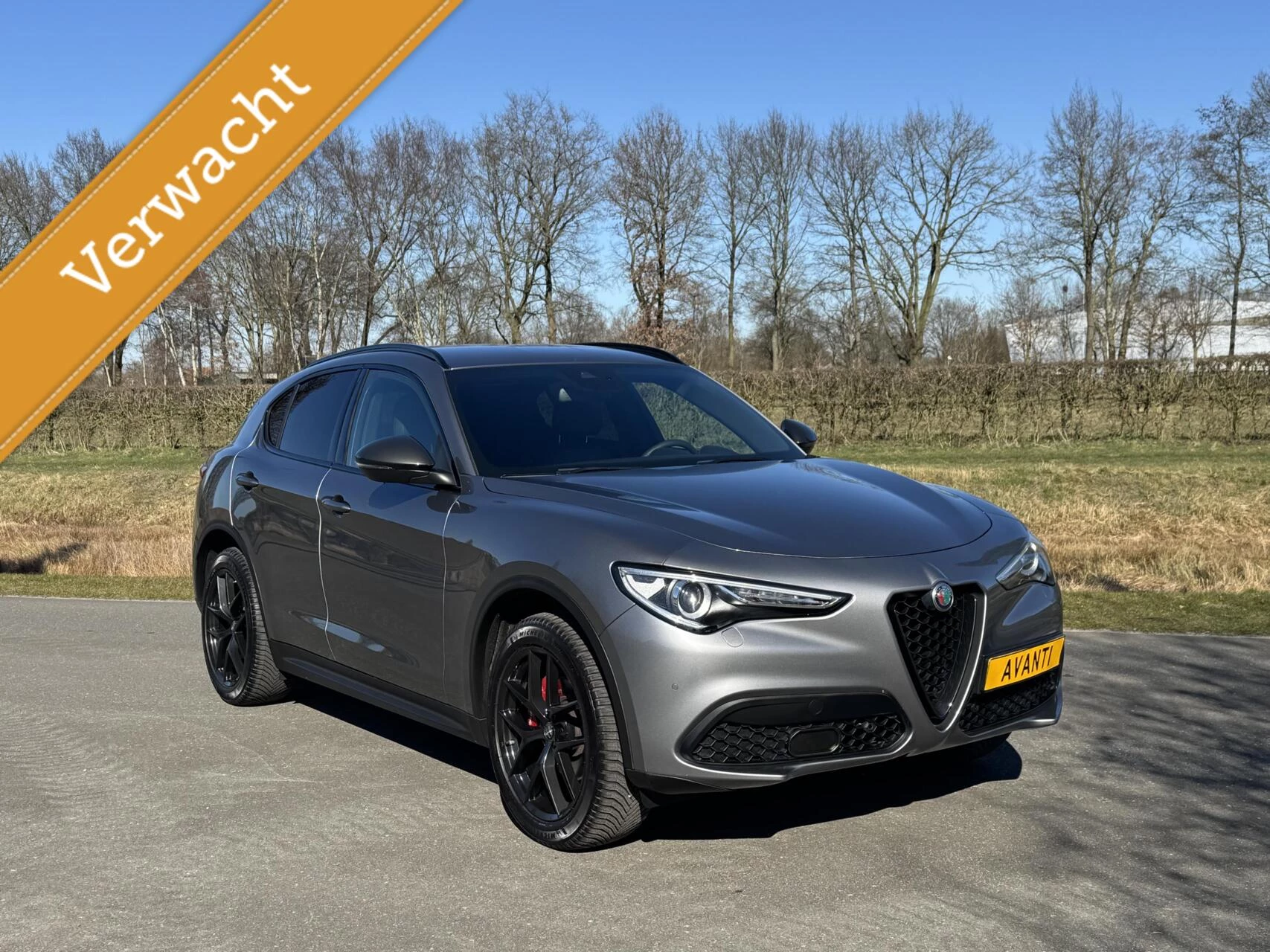 Hoofdafbeelding Alfa Romeo Stelvio