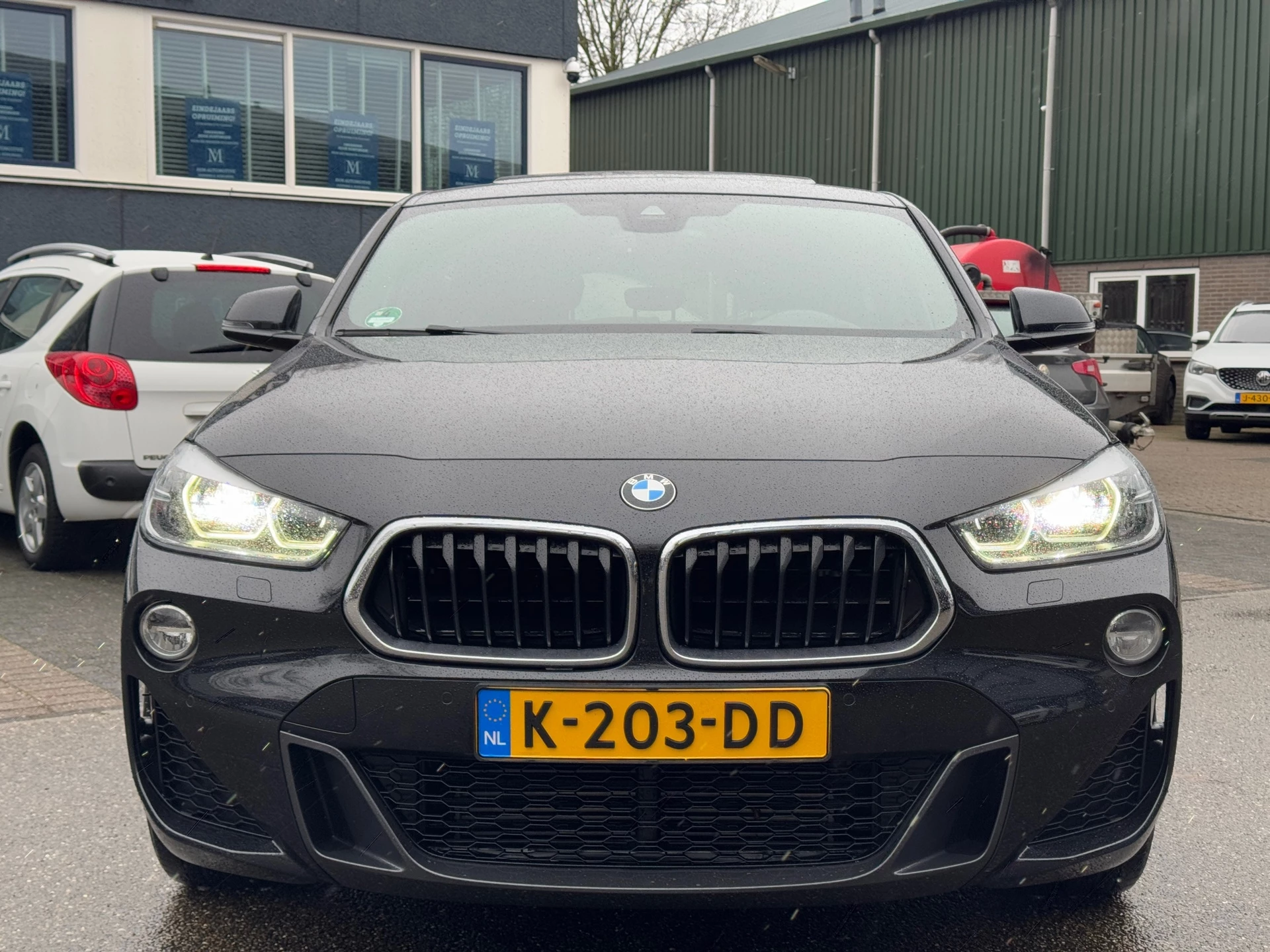 Hoofdafbeelding BMW X2