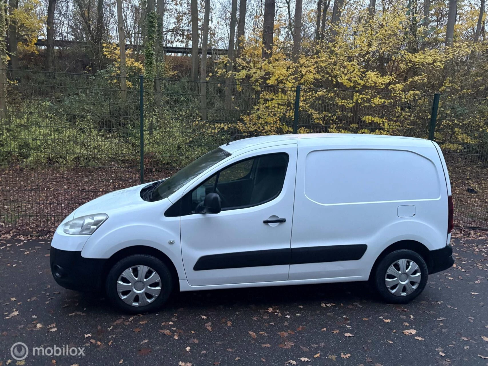 Hoofdafbeelding Peugeot Partner