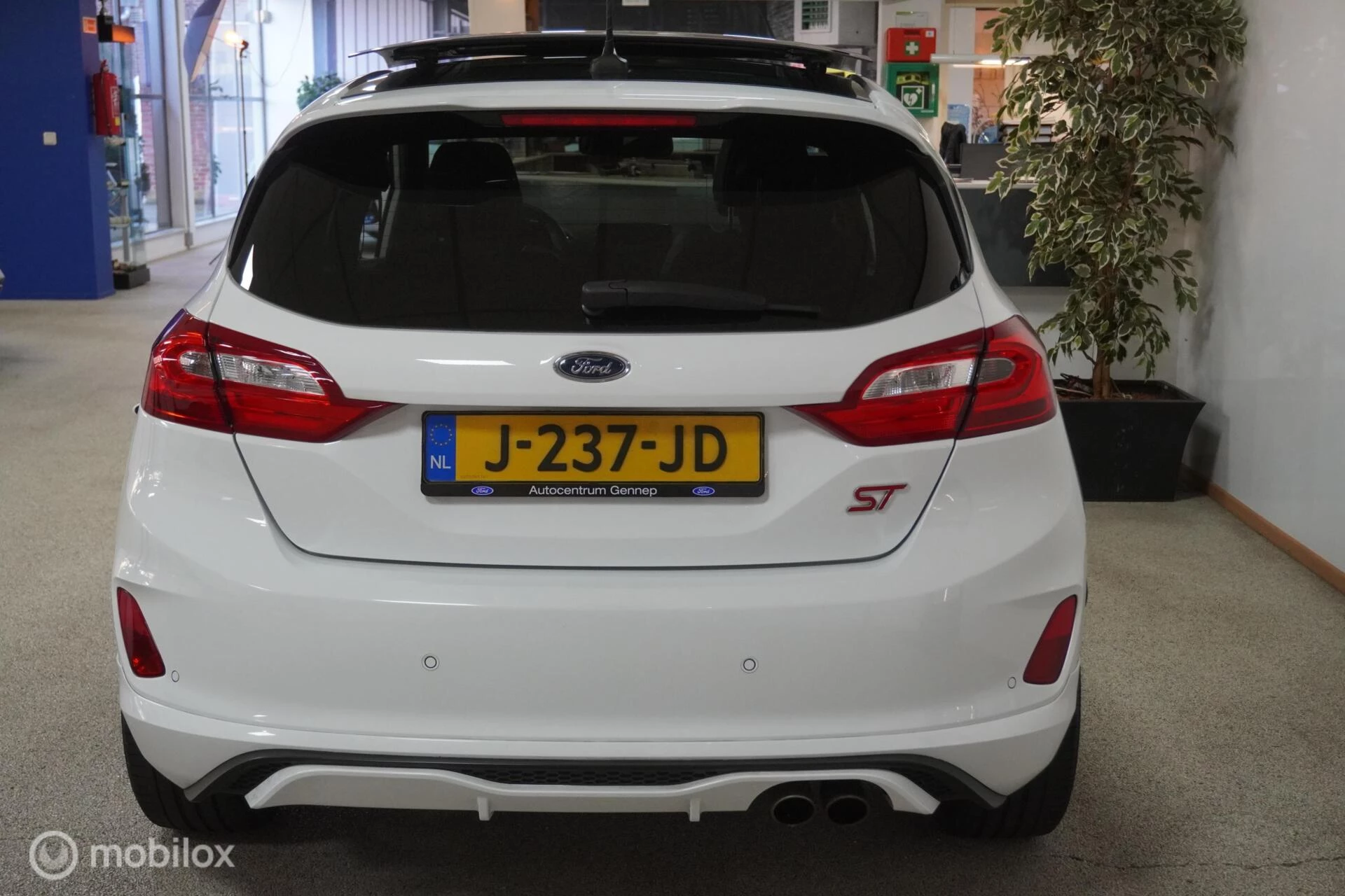 Hoofdafbeelding Ford Fiesta