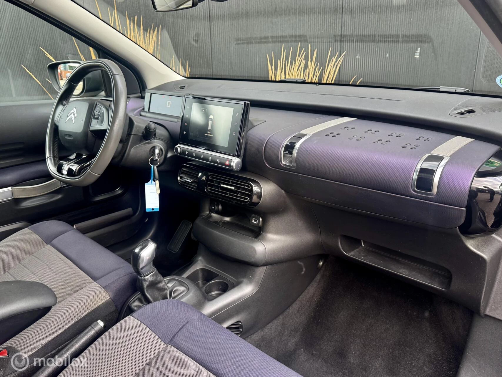 Hoofdafbeelding Citroën C4 Cactus