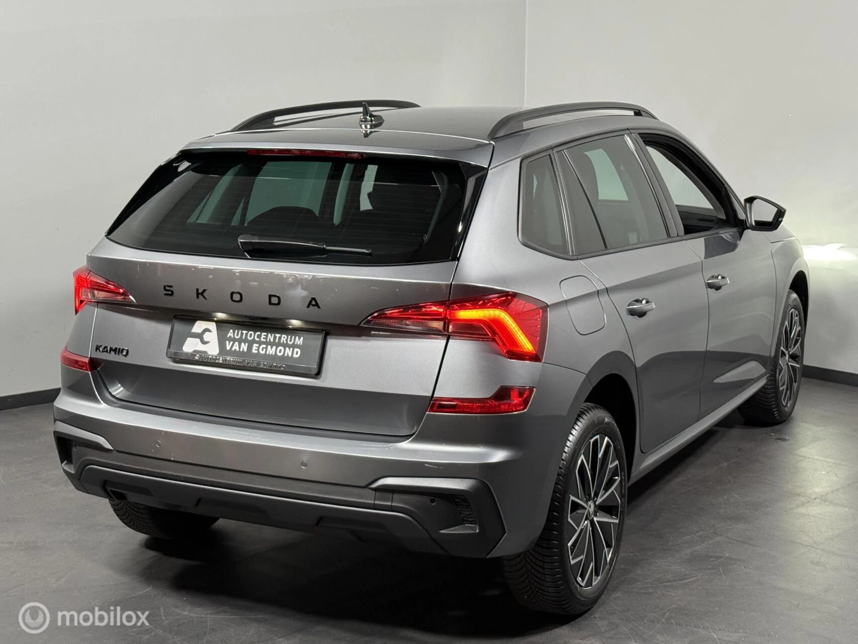 Hoofdafbeelding Škoda Kamiq