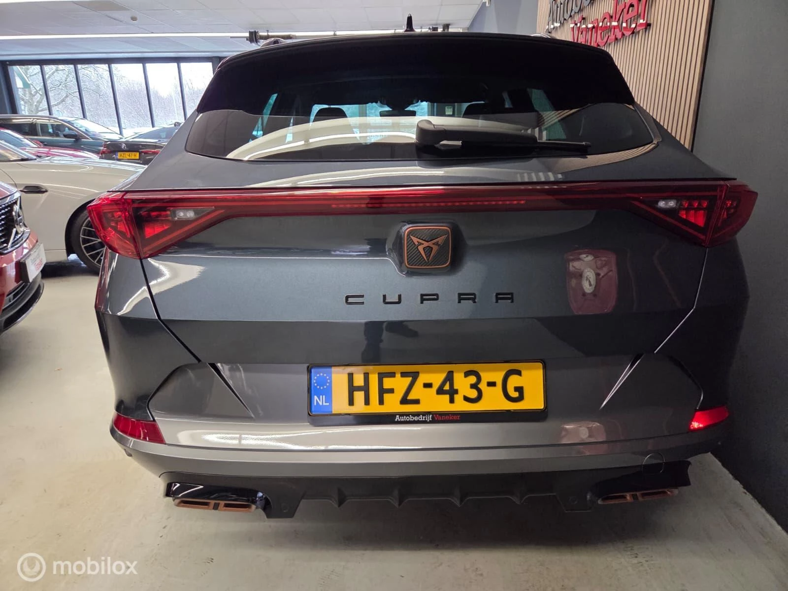 Hoofdafbeelding CUPRA Formentor