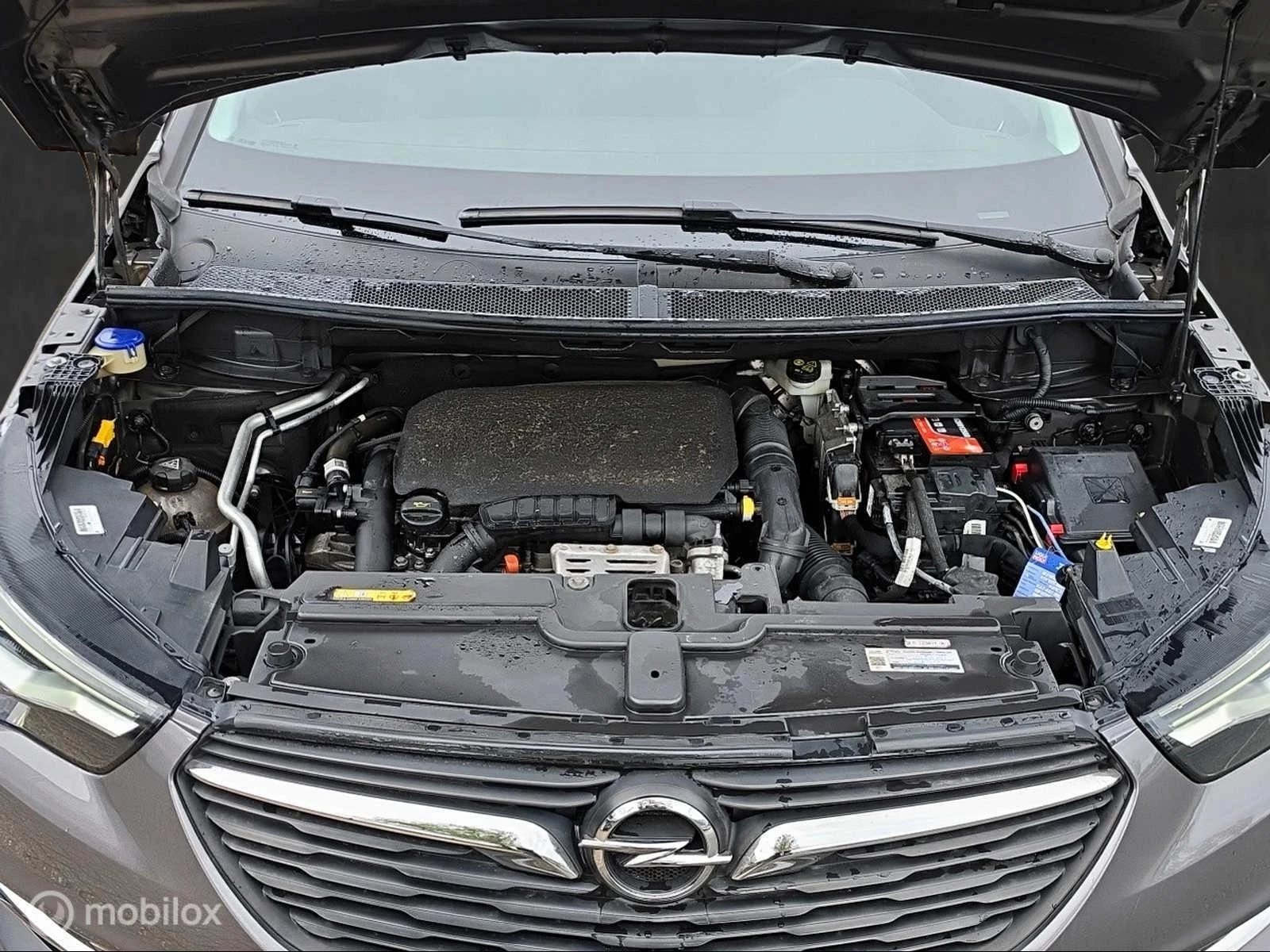 Hoofdafbeelding Opel Grandland X