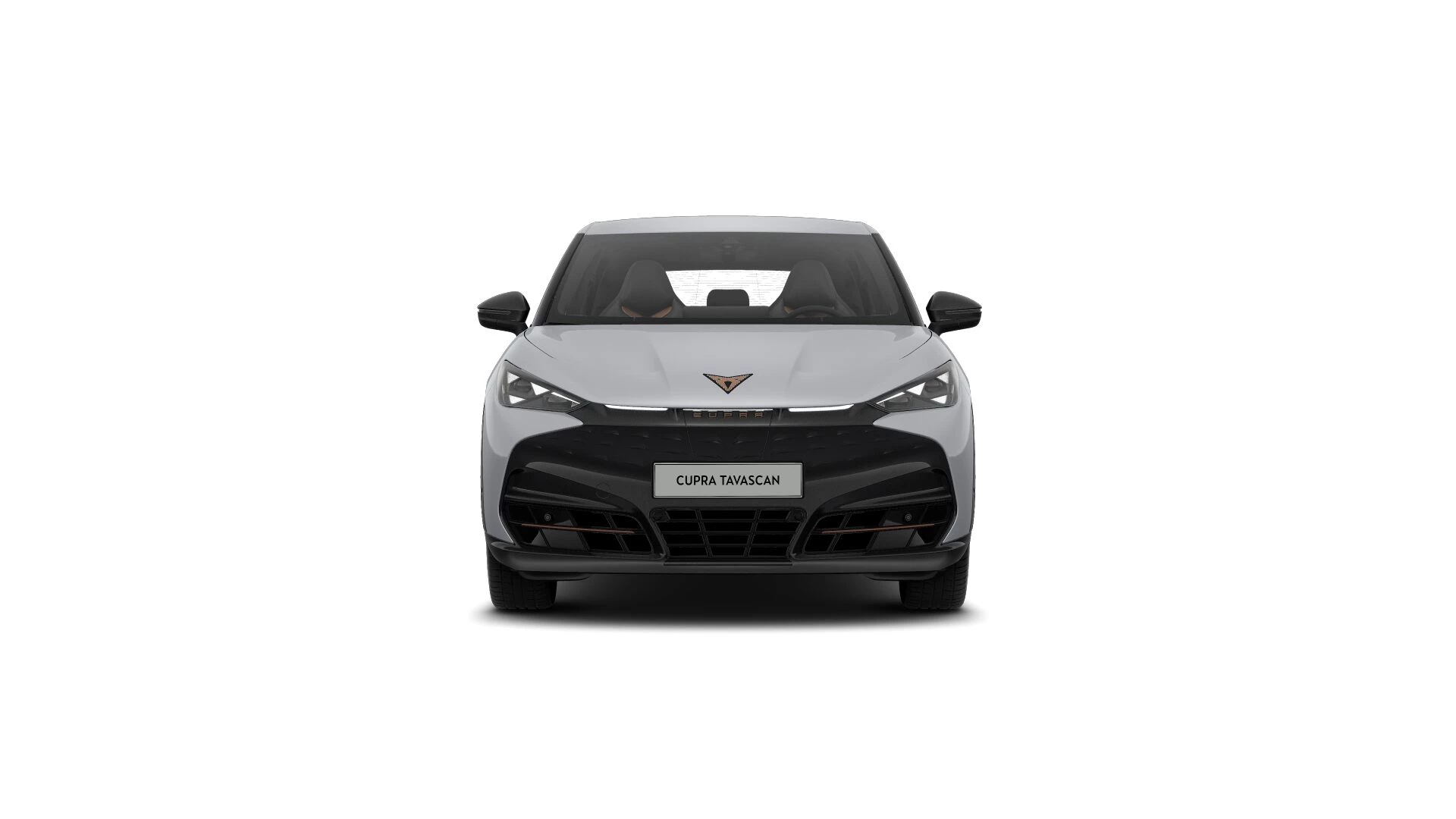 Hoofdafbeelding CUPRA Tavascan