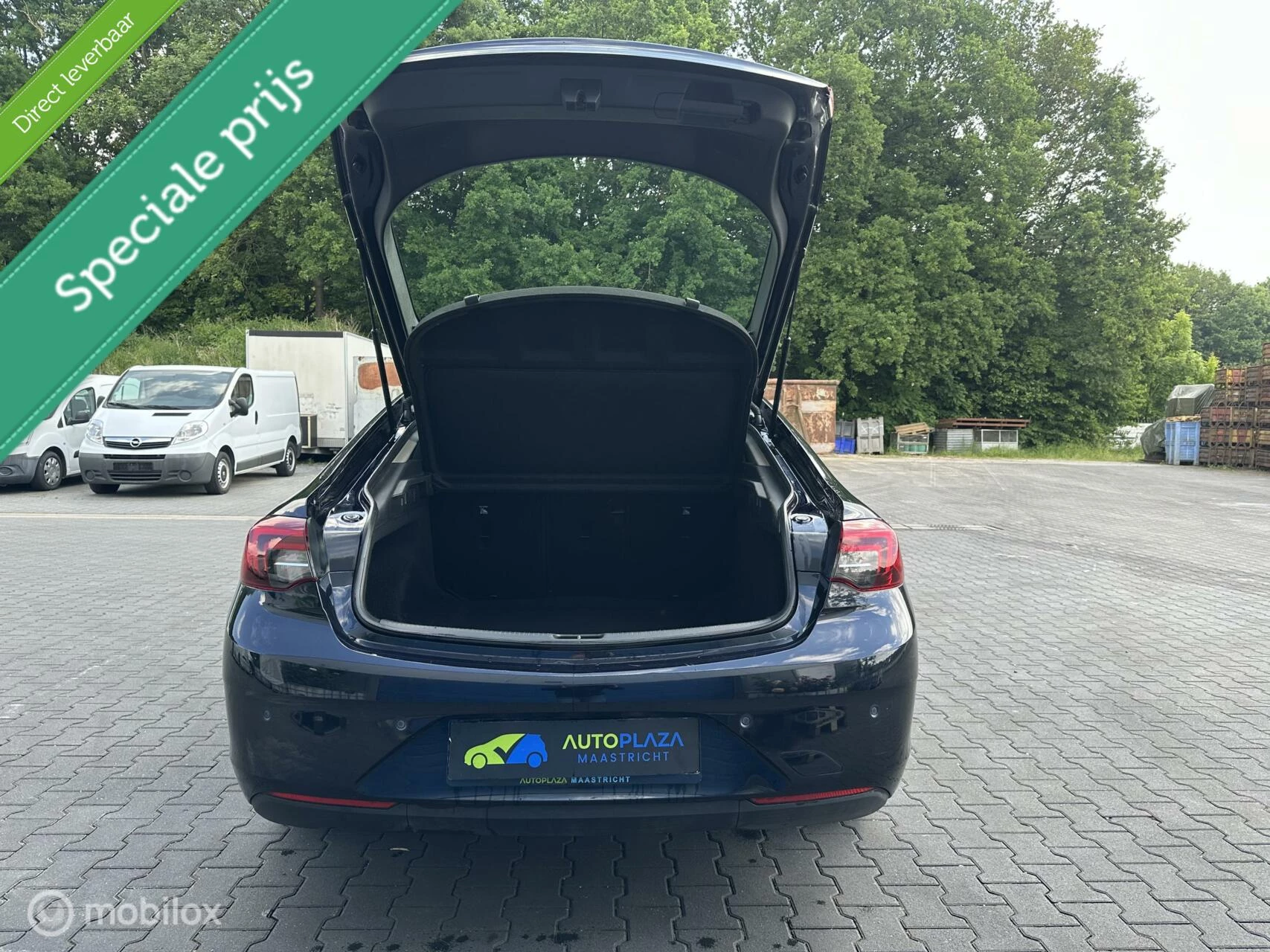 Hoofdafbeelding Opel Insignia