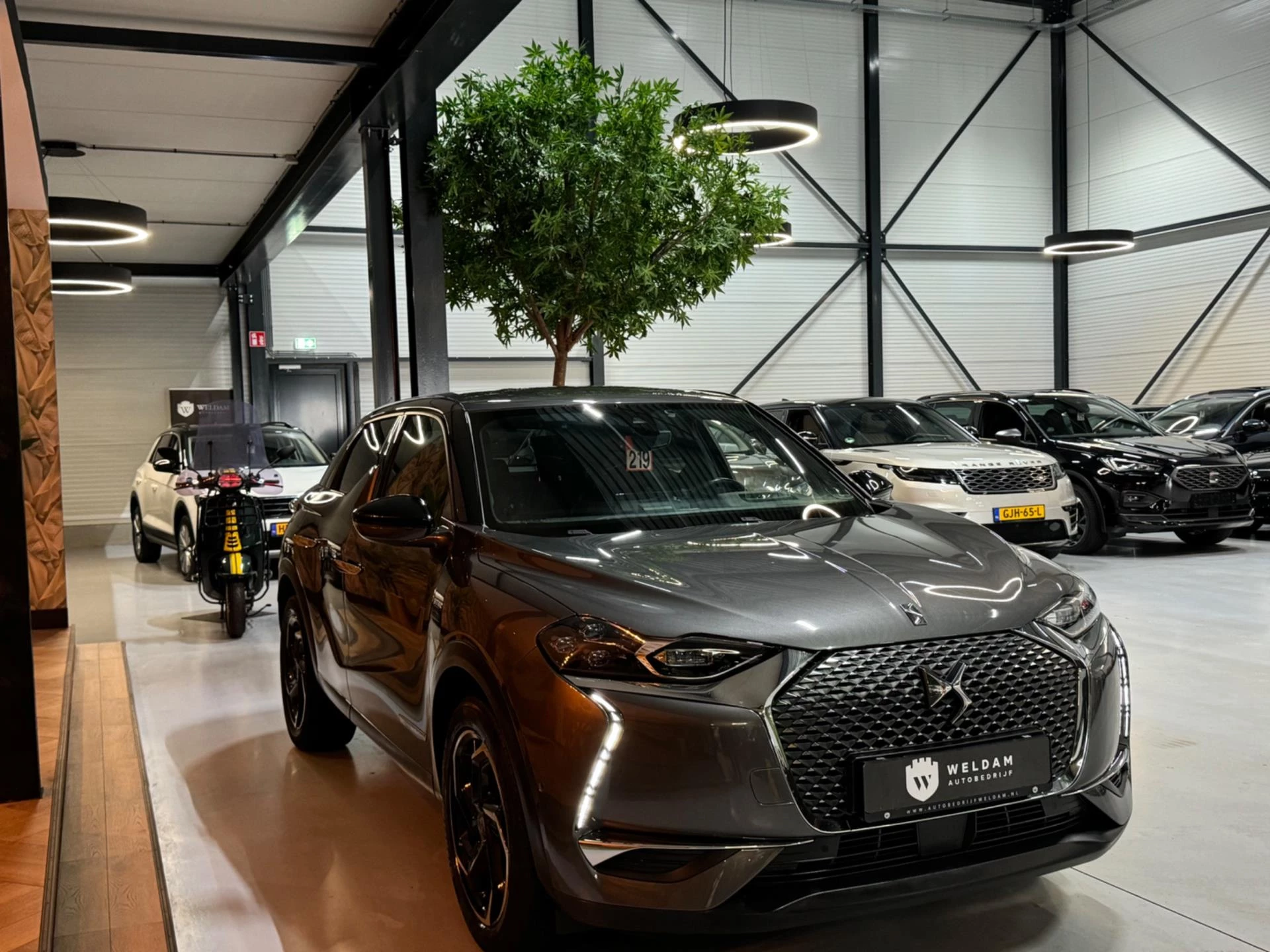 Hoofdafbeelding DS DS 3
