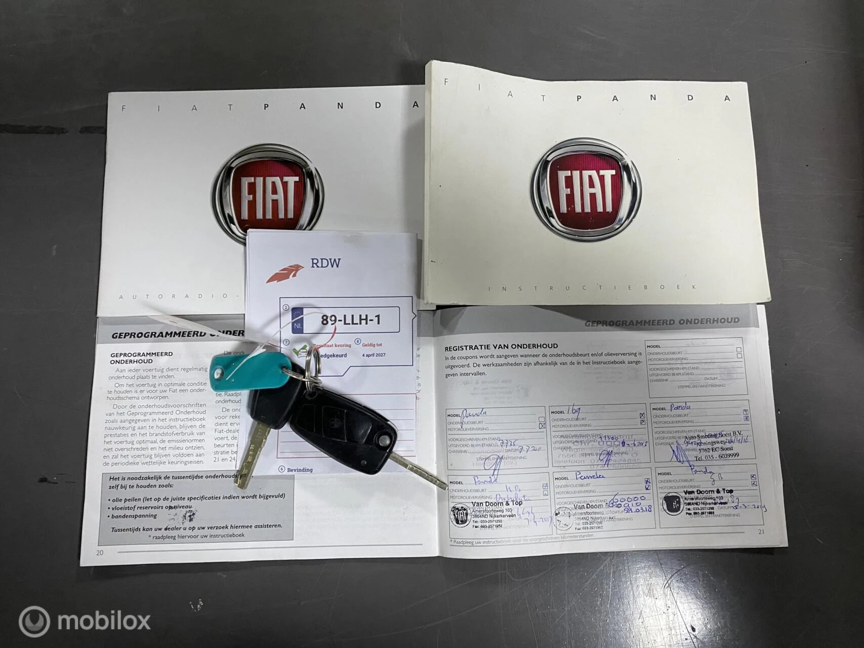 Hoofdafbeelding Fiat Panda