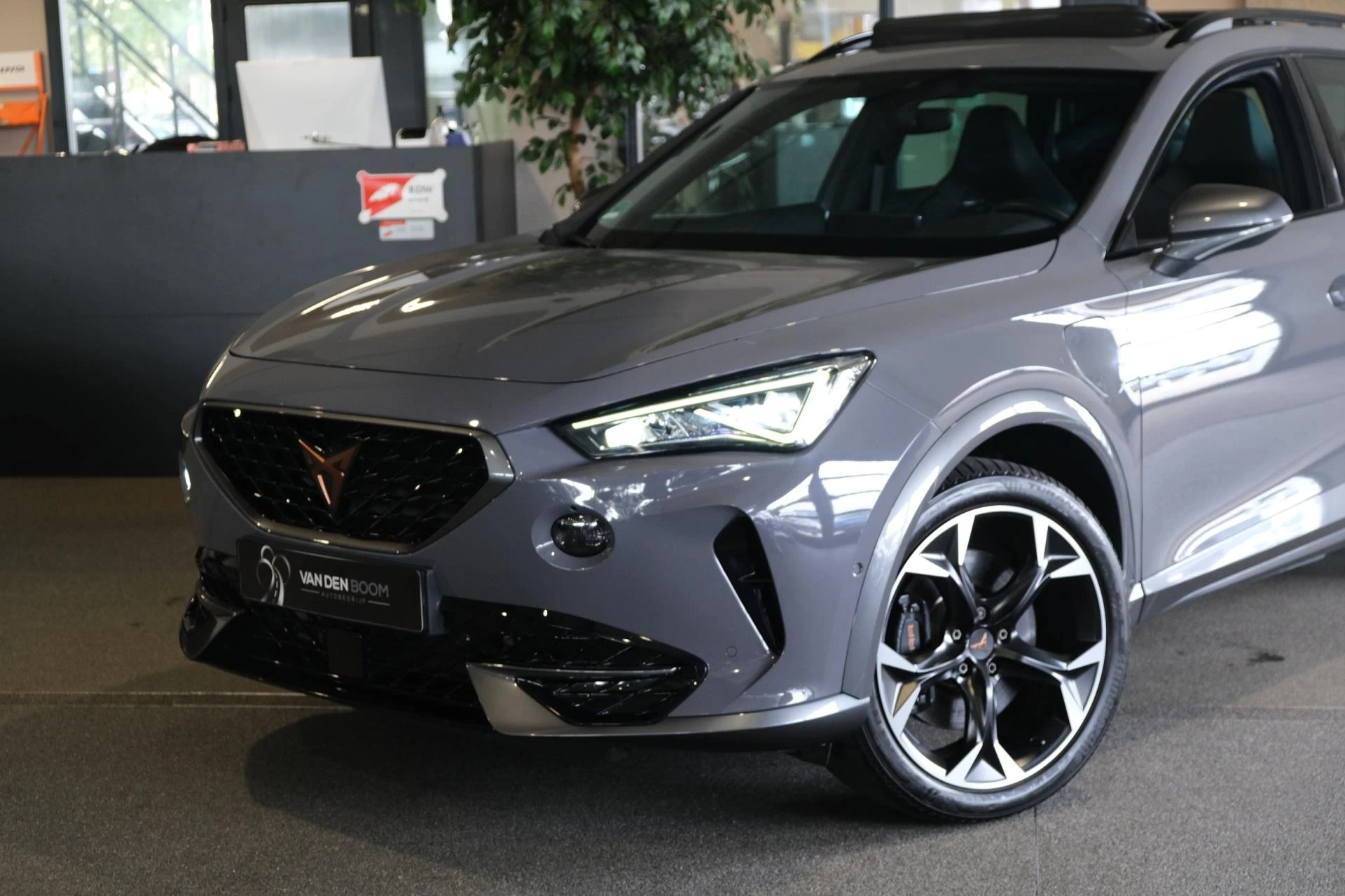 Hoofdafbeelding CUPRA Formentor