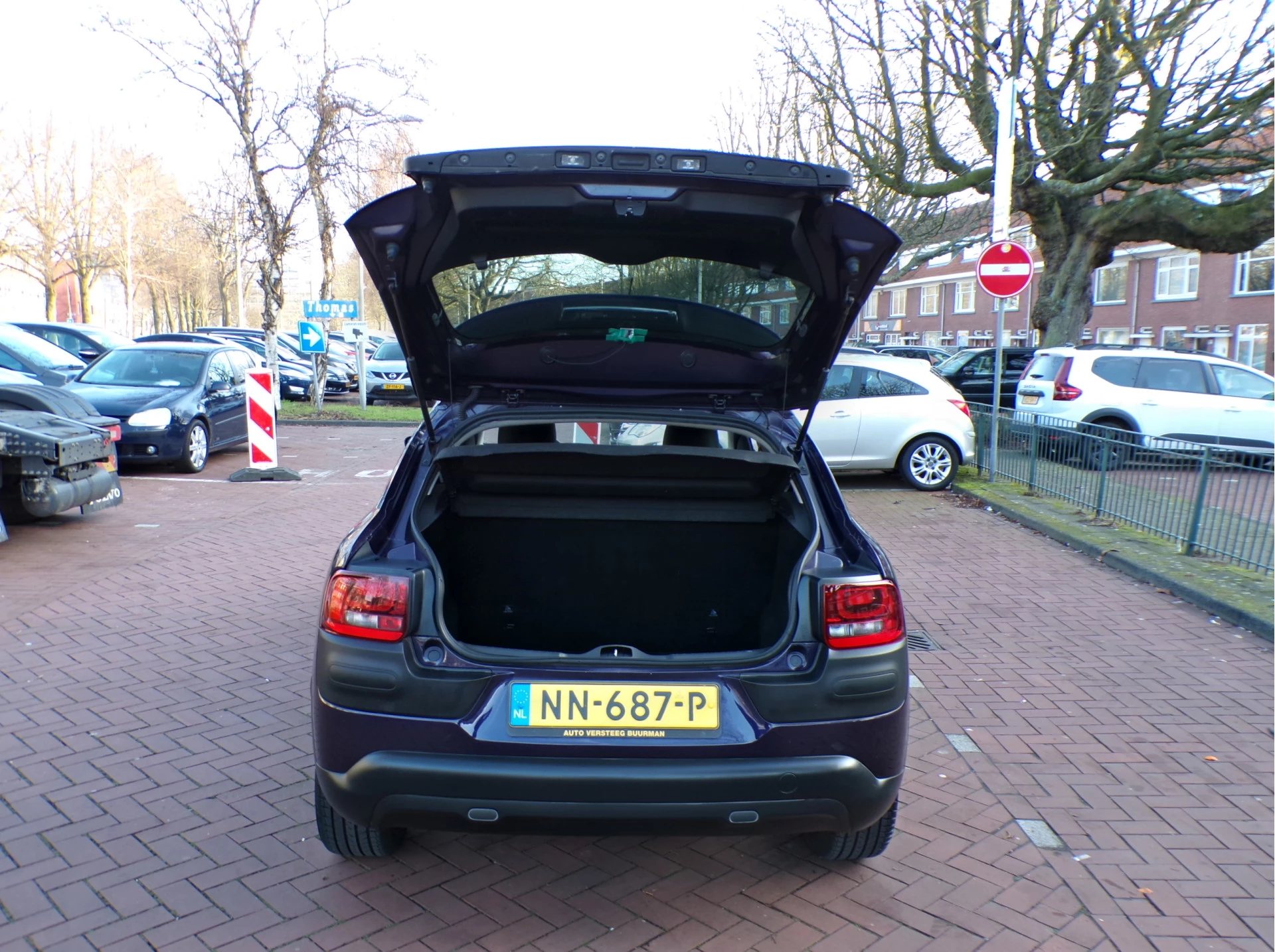 Hoofdafbeelding Citroën C4 Cactus