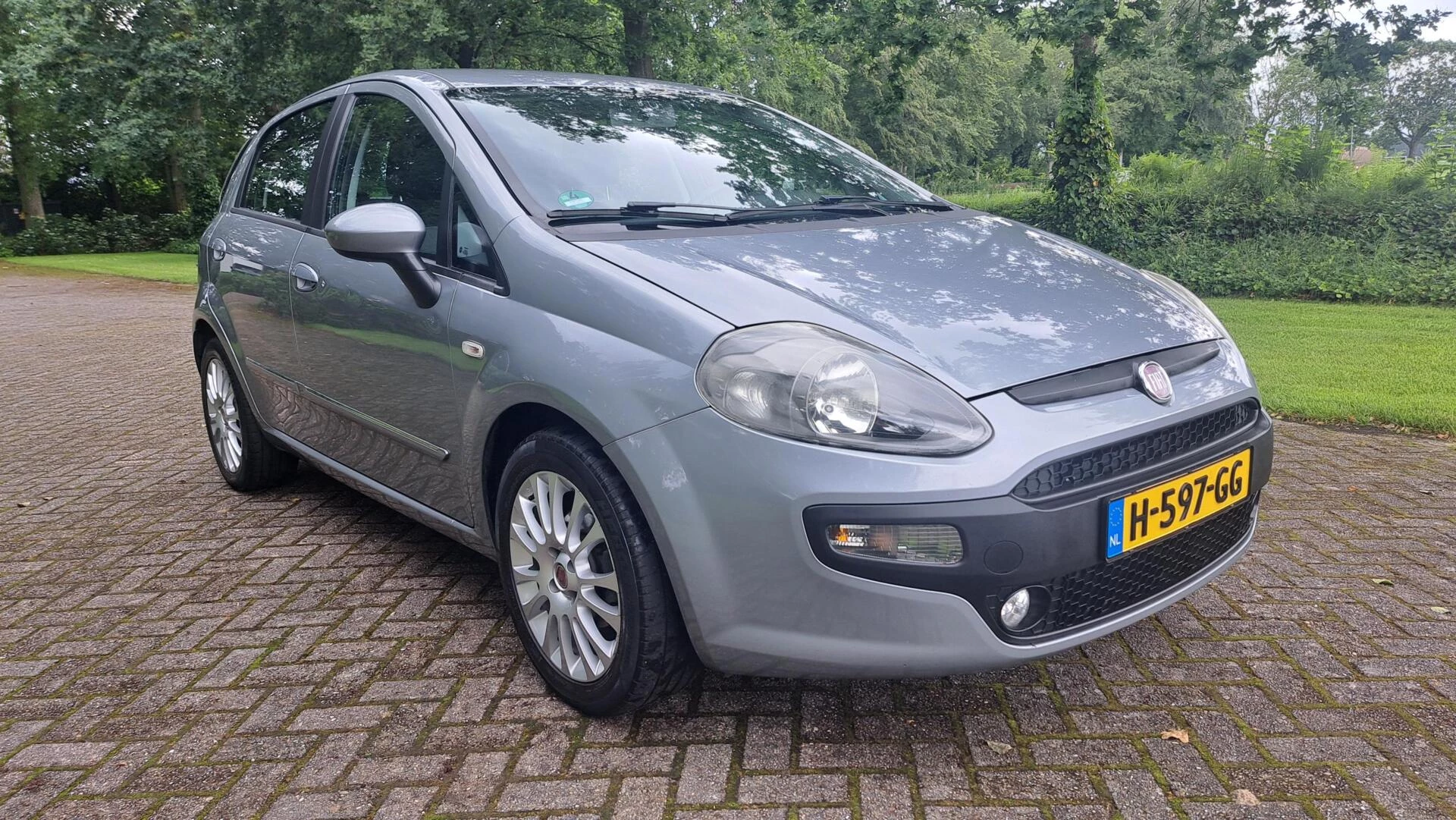 Hoofdafbeelding Fiat Punto